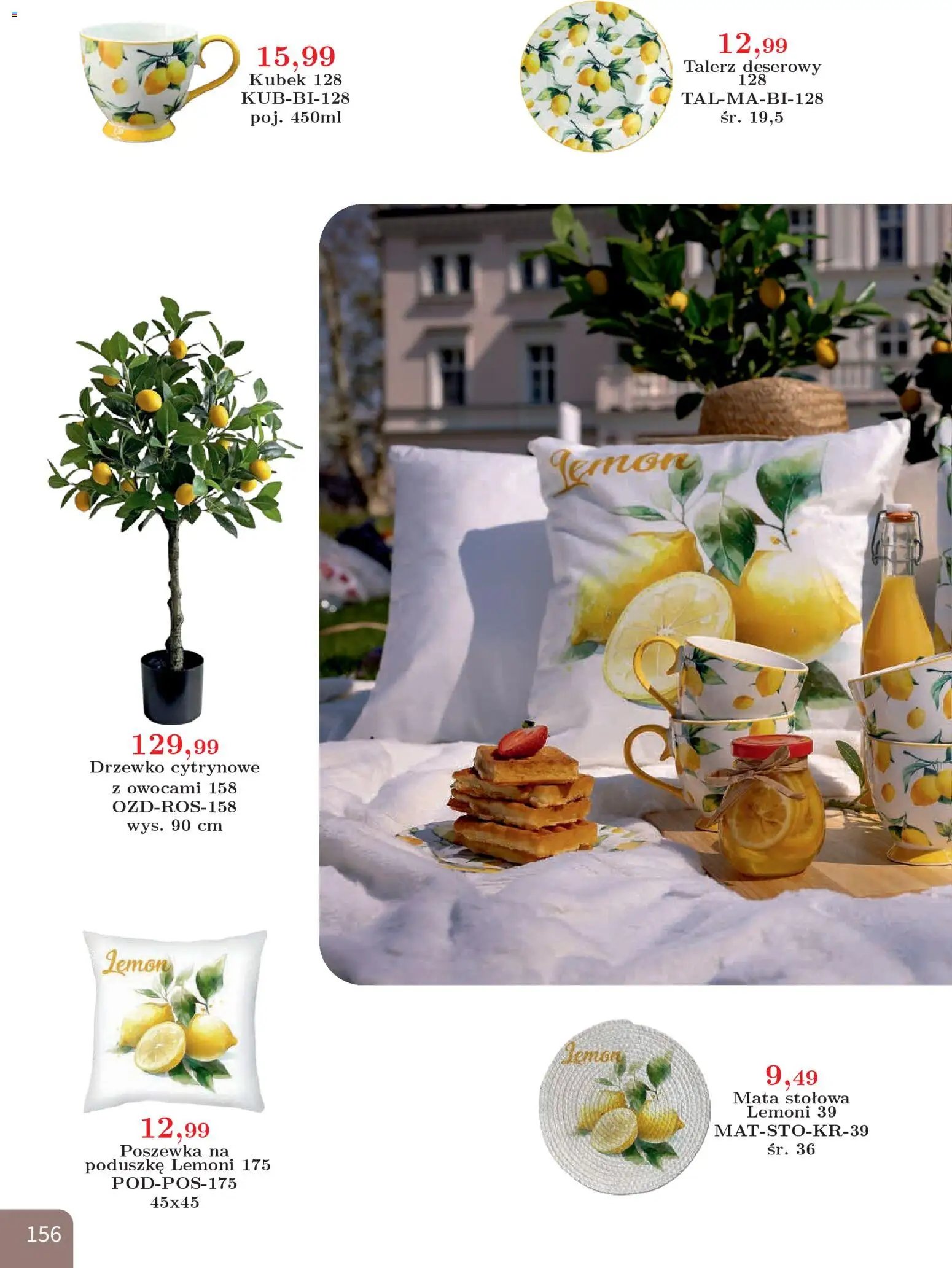 Bodzio Katalog
