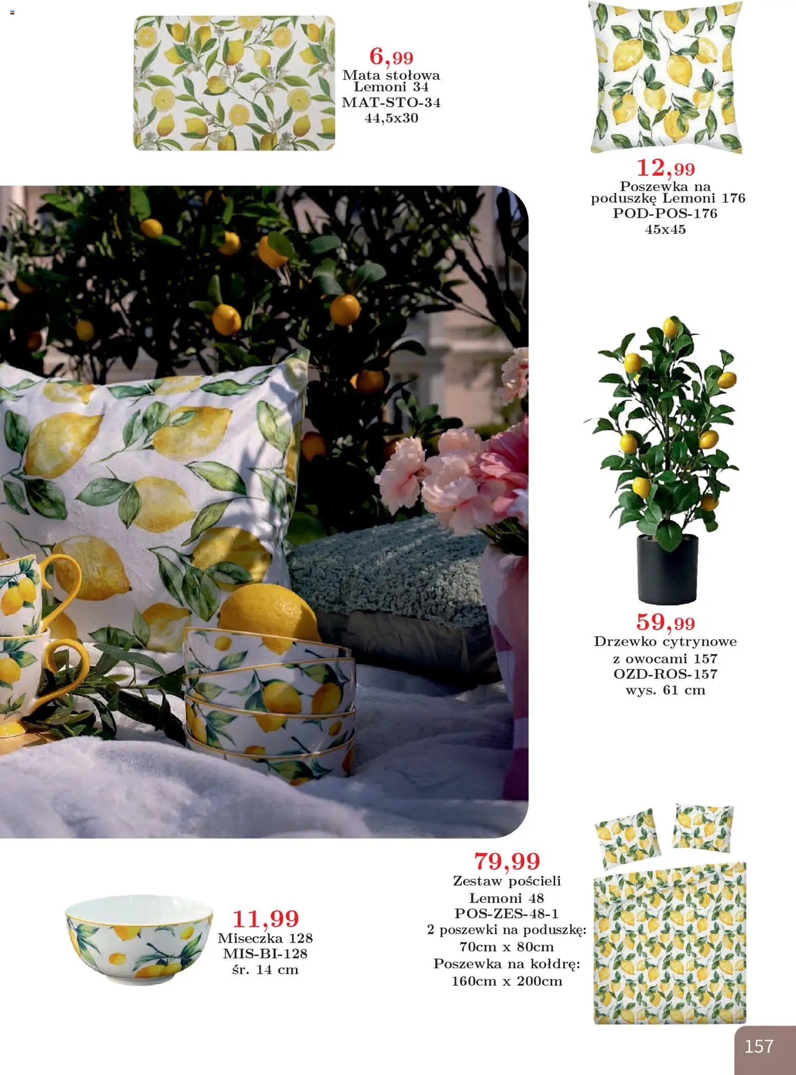 Bodzio Katalog
