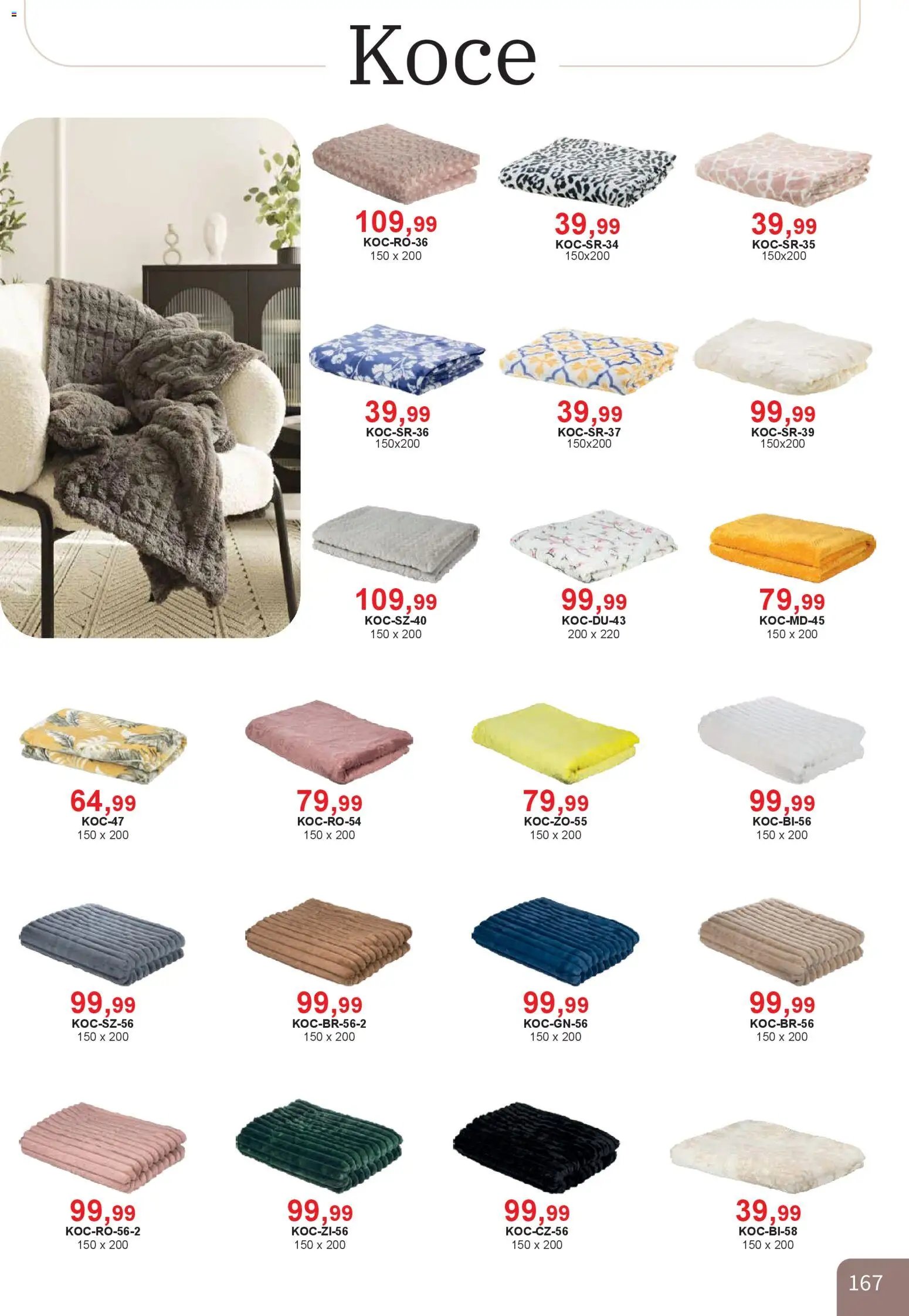 Bodzio Katalog