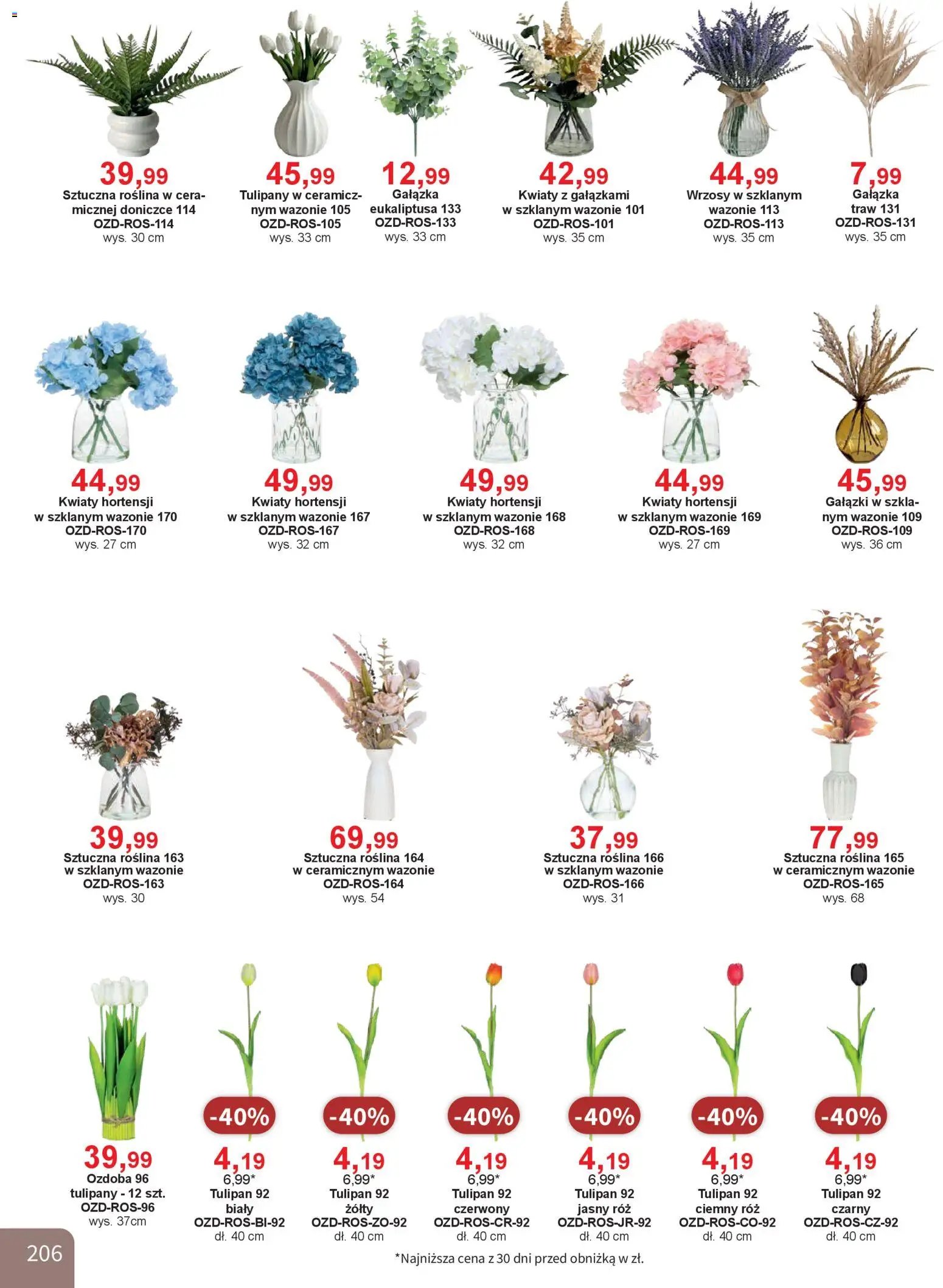 Bodzio Katalog