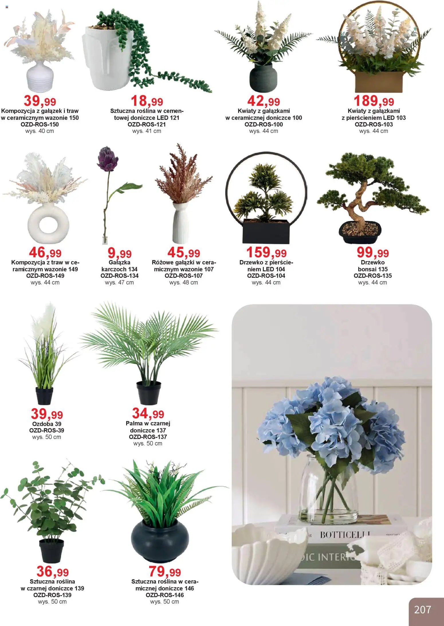 Bodzio Katalog