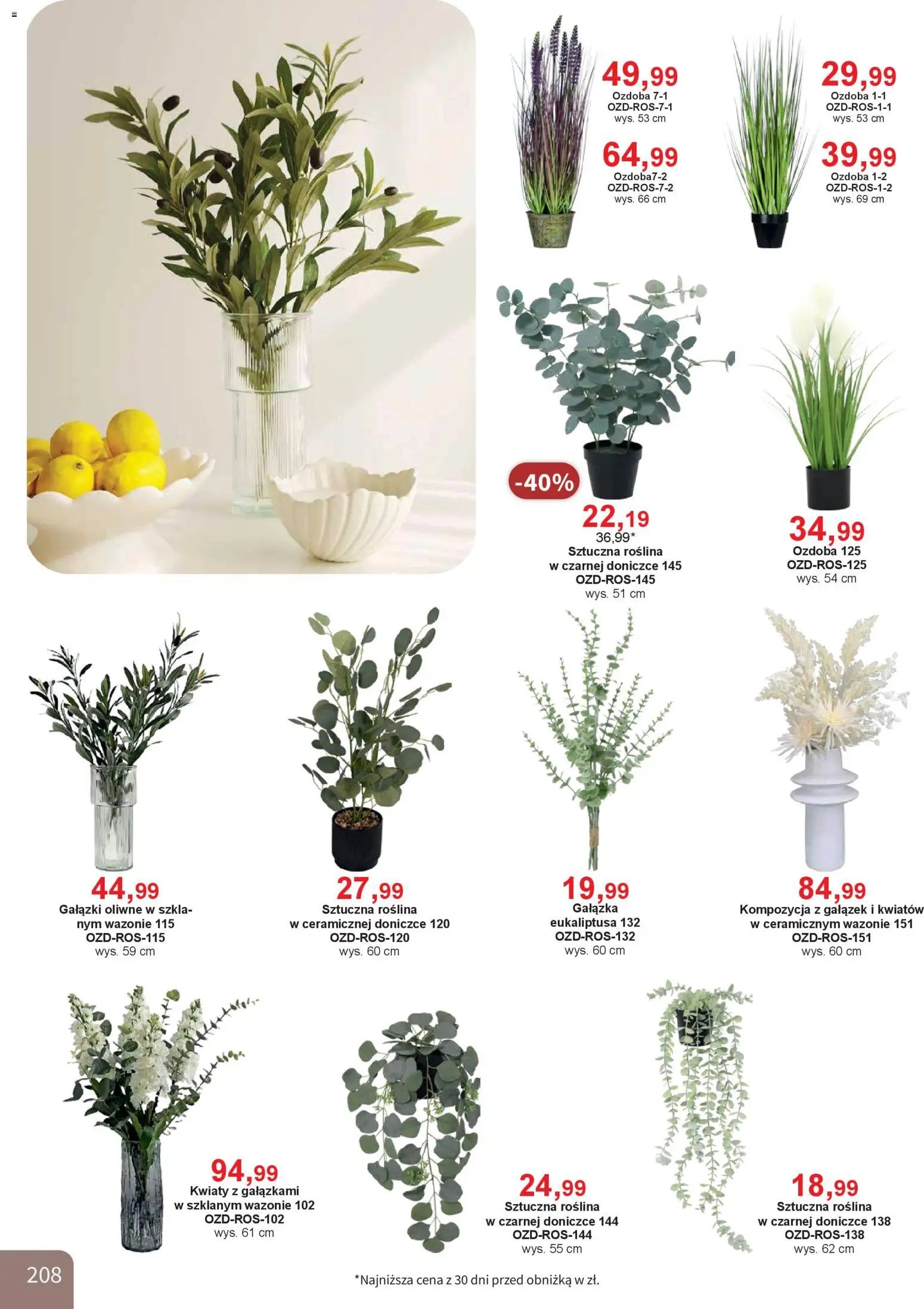 Bodzio Katalog