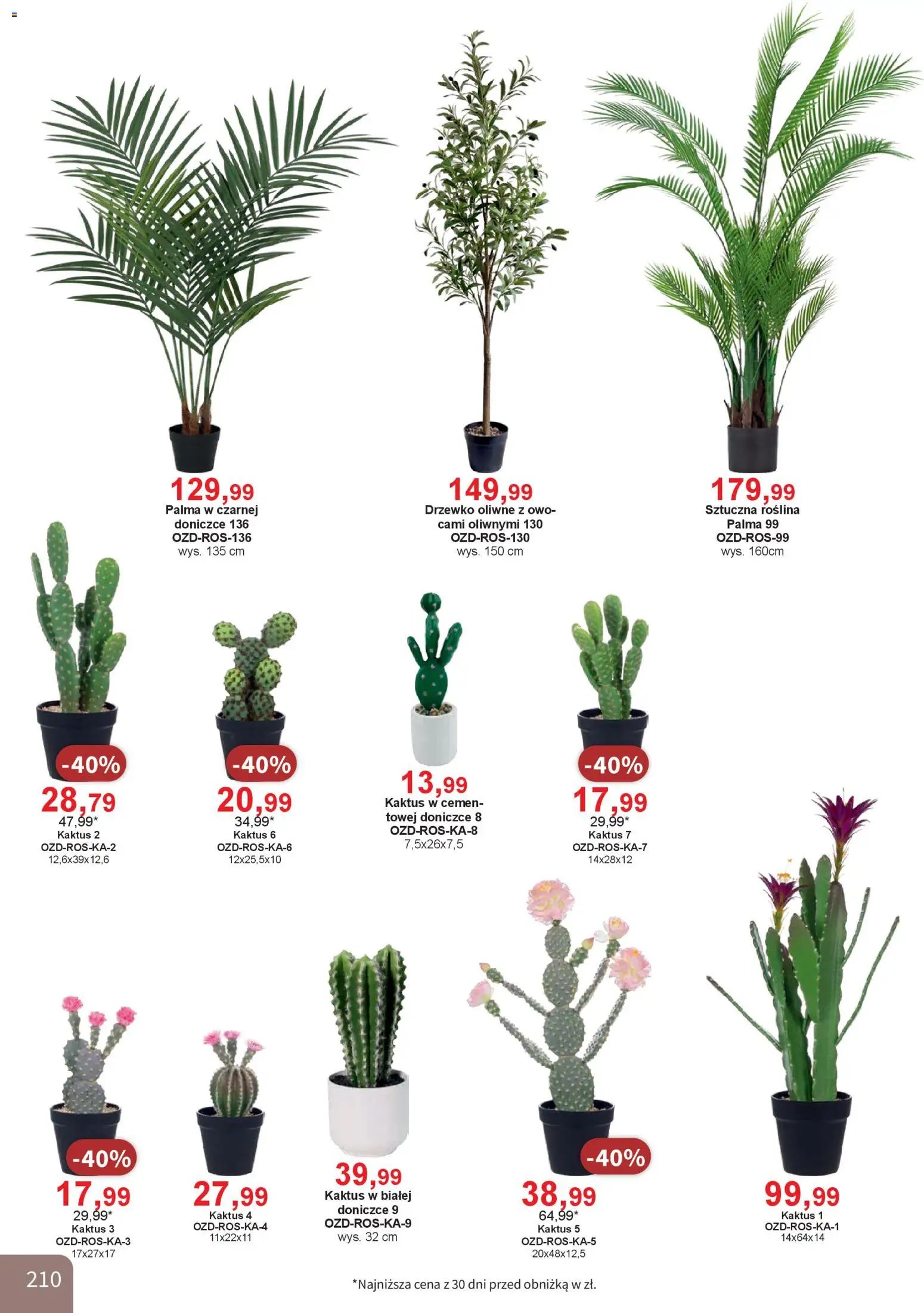 Bodzio Katalog