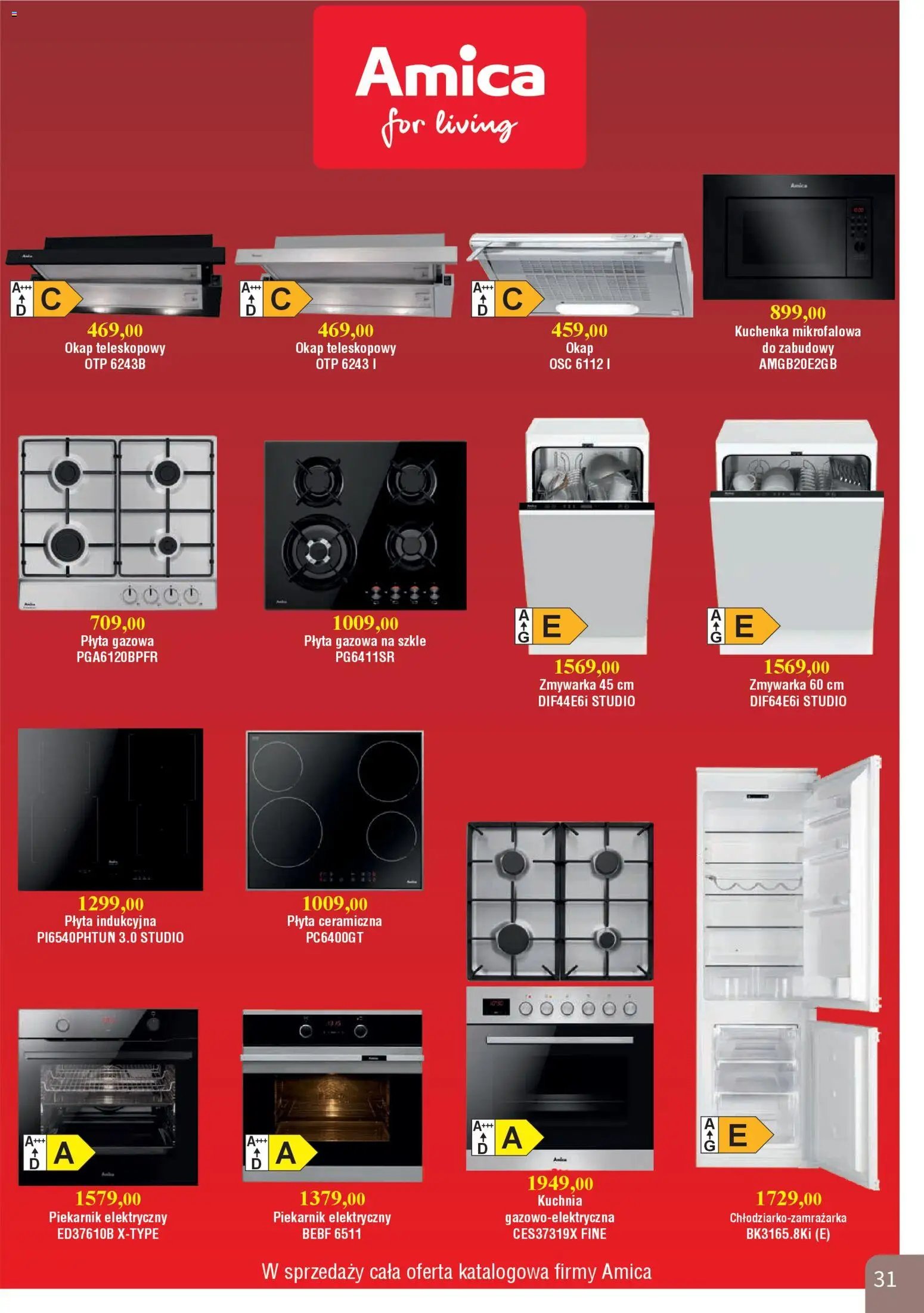 Bodzio Katalog