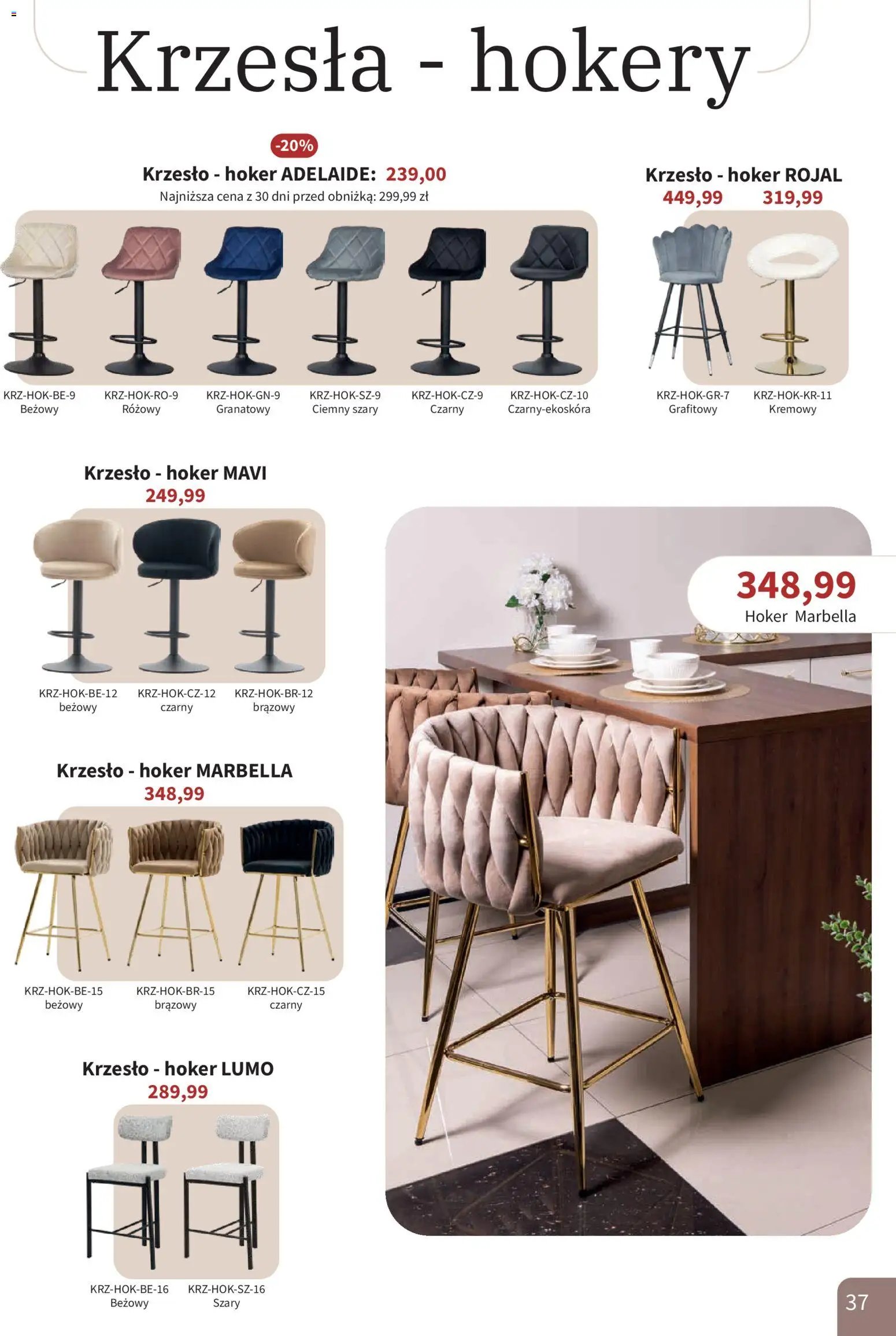 Bodzio Katalog