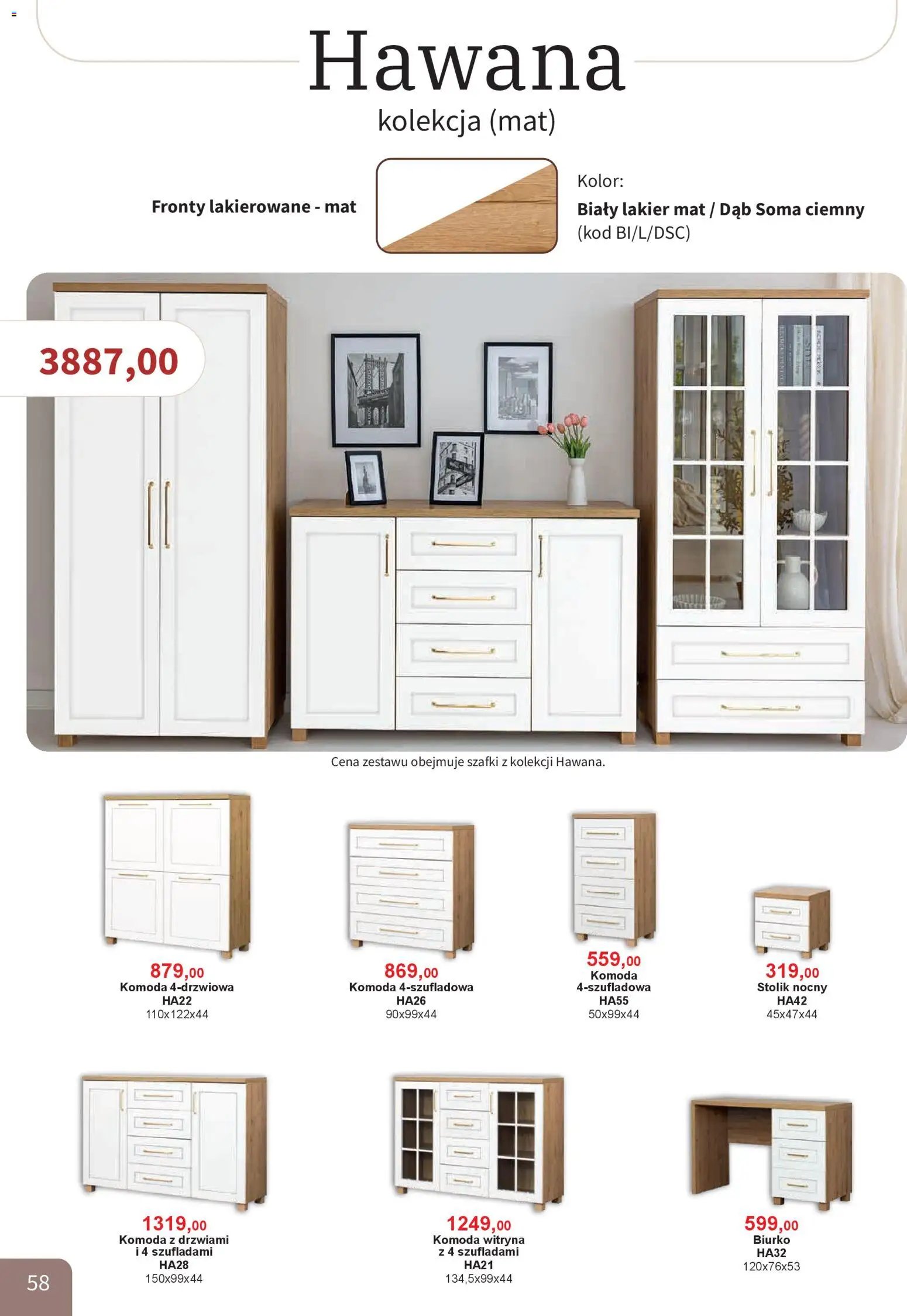 Bodzio Katalog