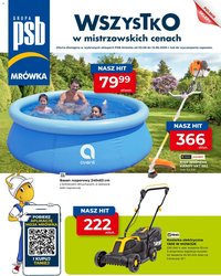 Mrówka gazetka - Elbląg