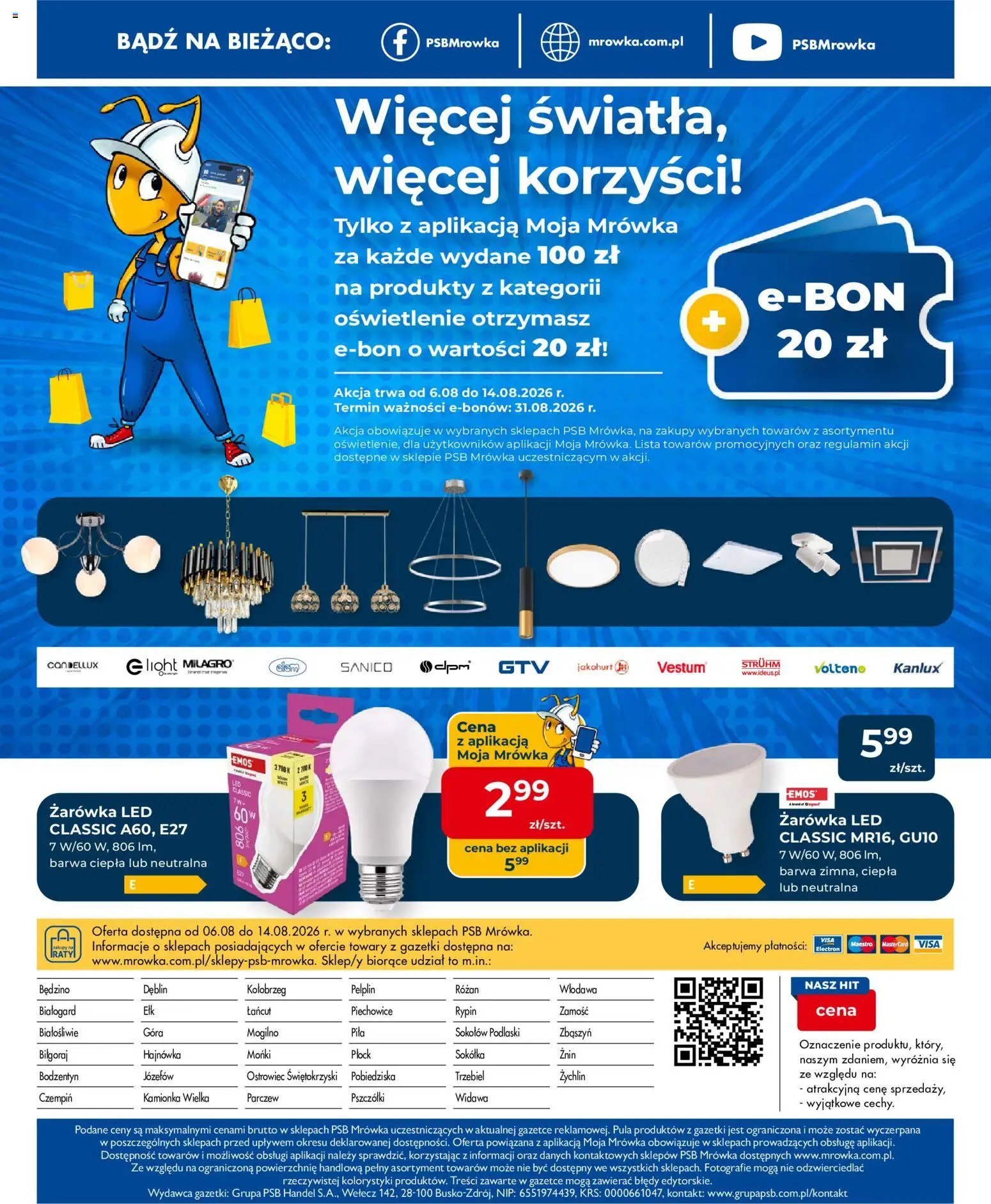 Mrówka gazetka - Rypin