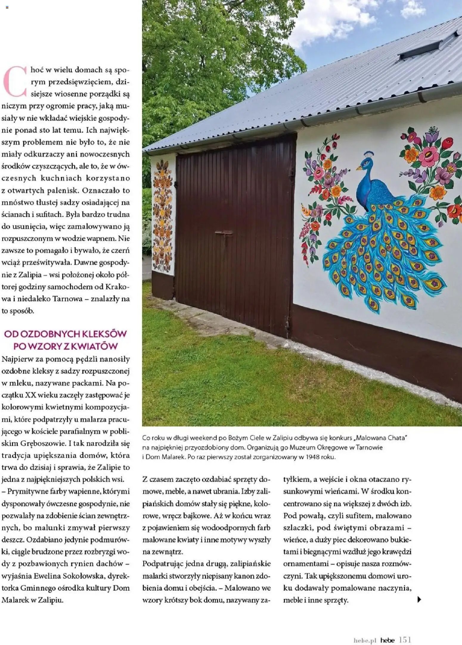 Hebe gazetka - Magazyn