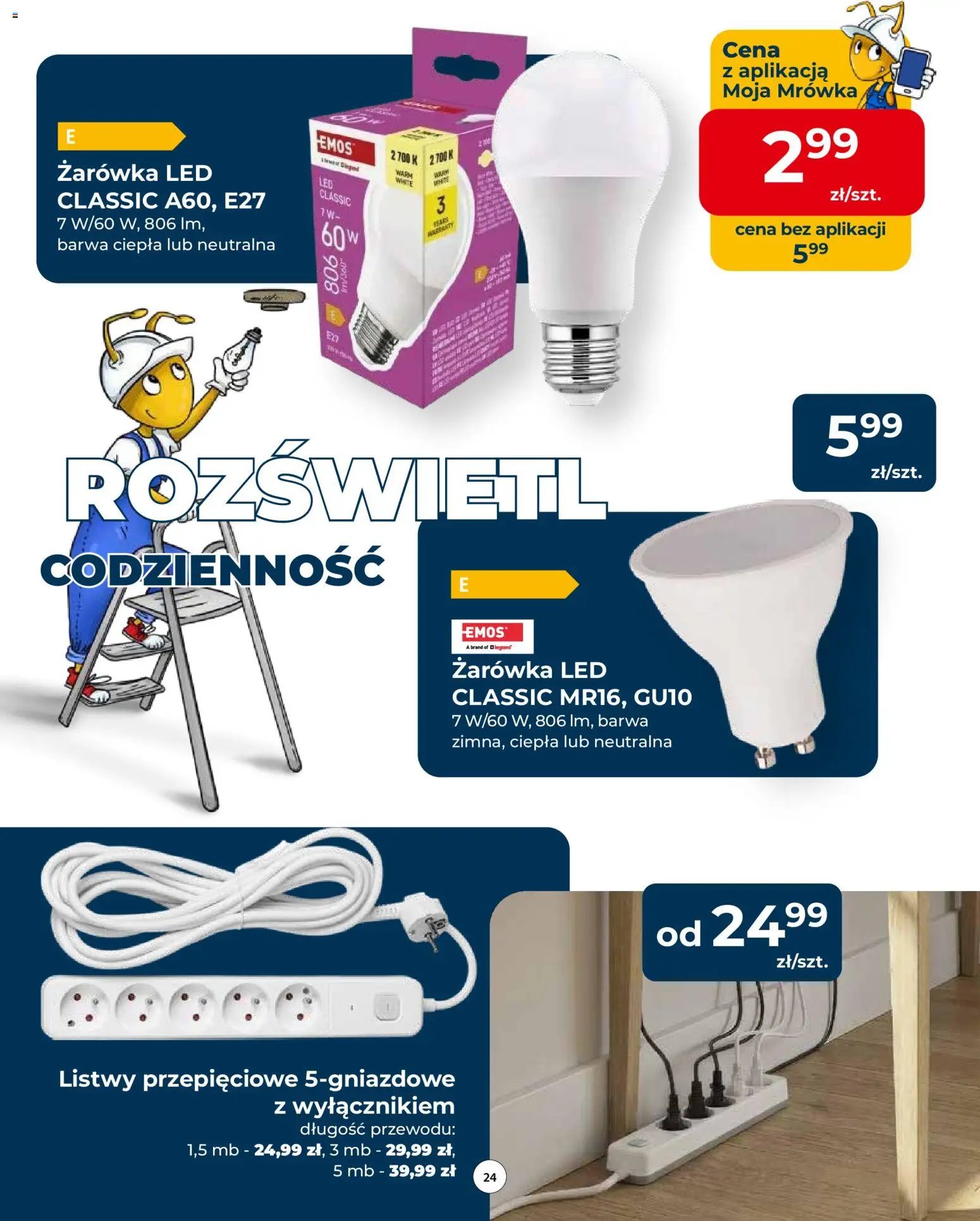 Mrówka gazetka