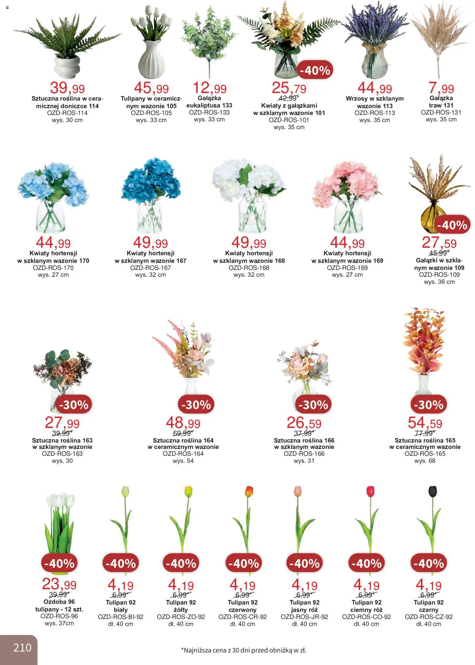 Bodzio Katalog