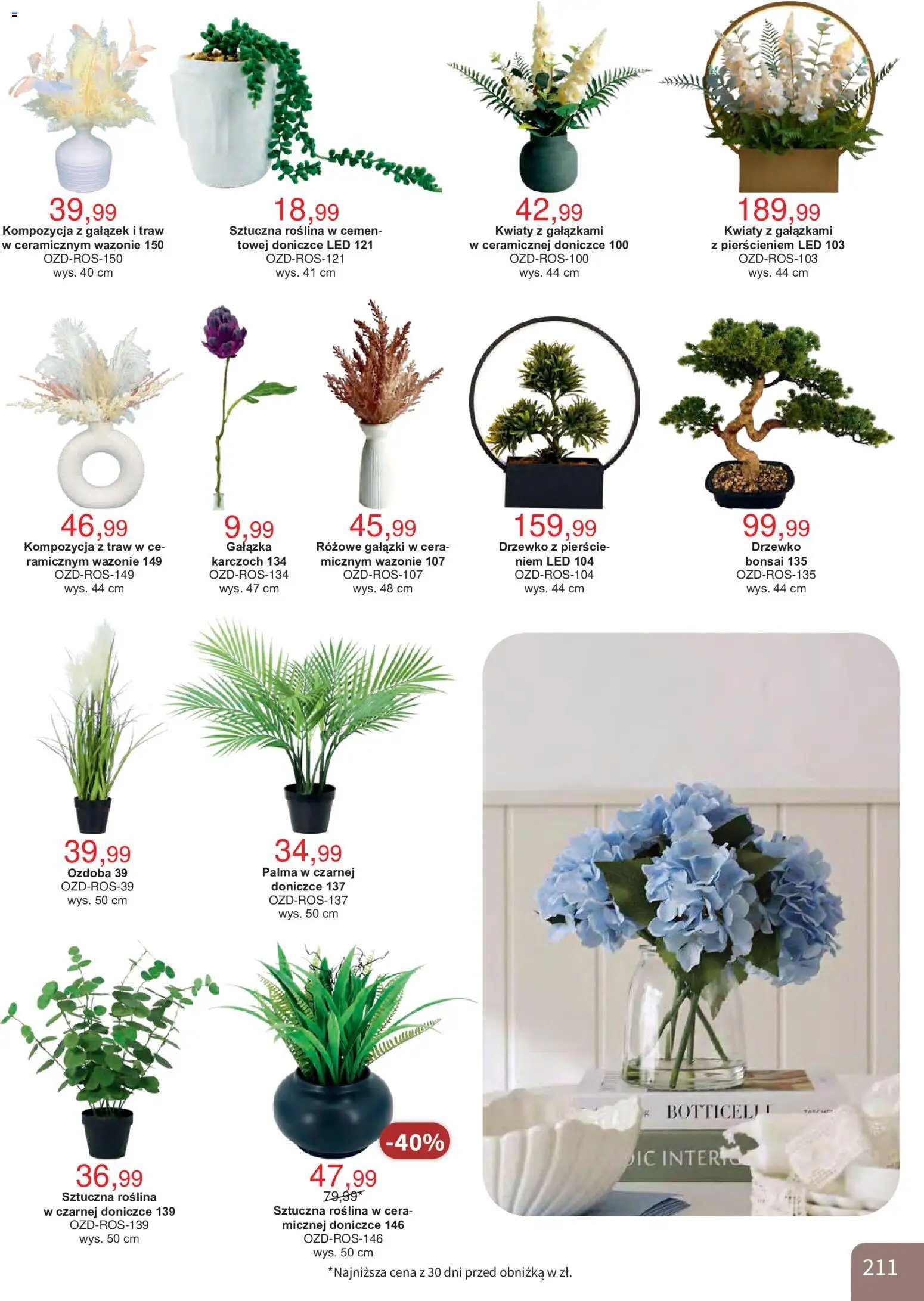 Bodzio Katalog