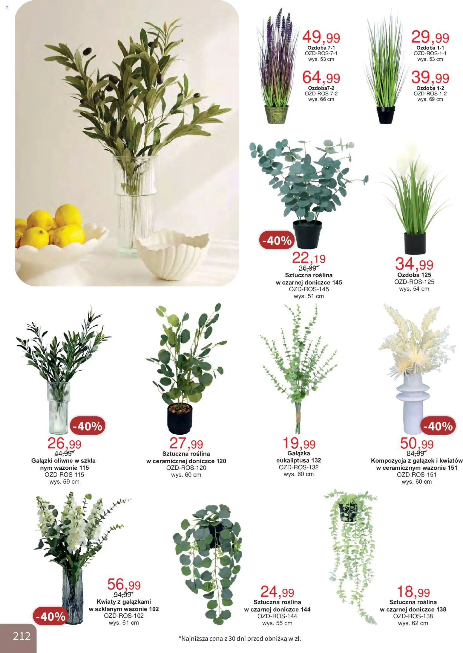 Bodzio Katalog