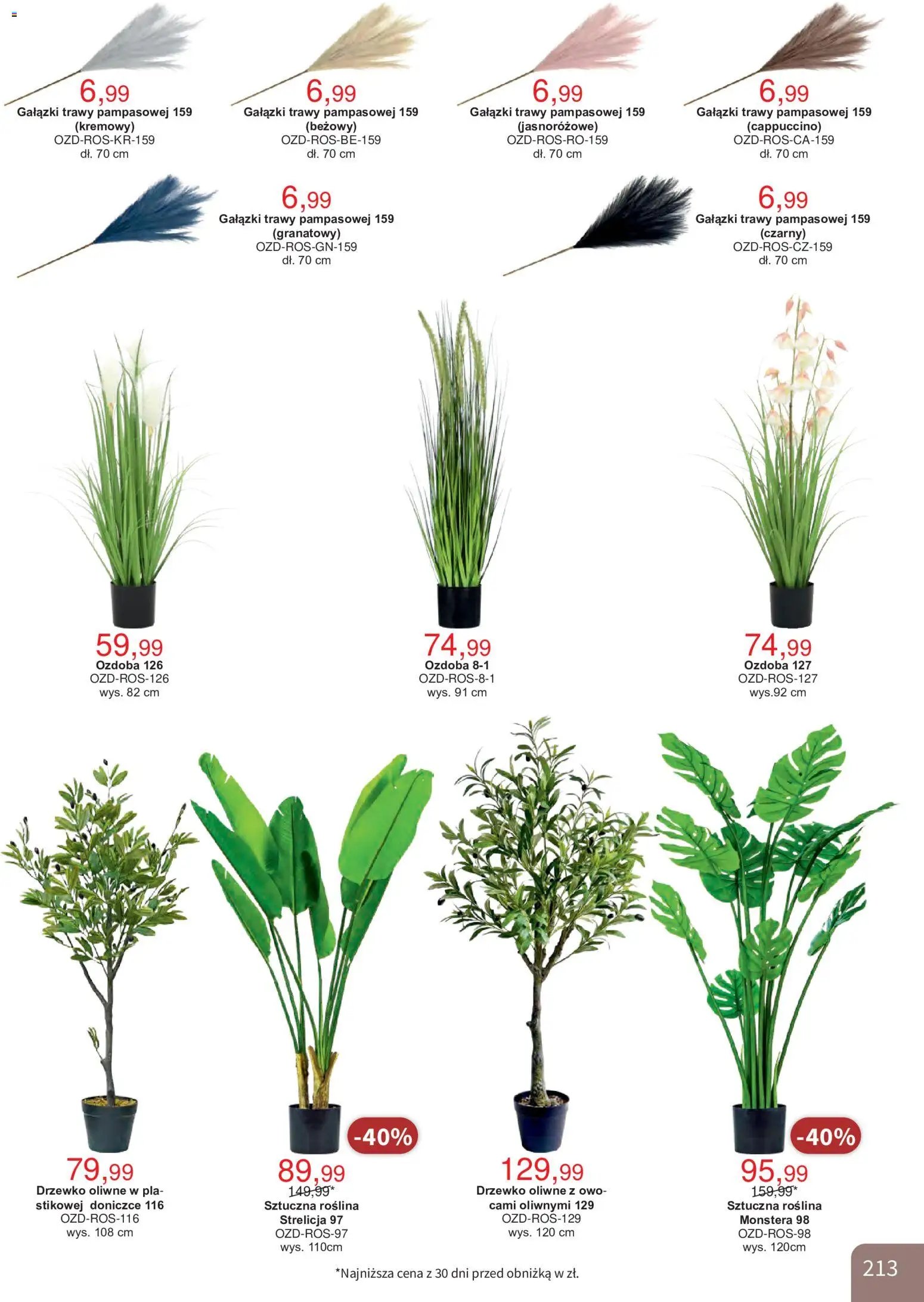 Bodzio Katalog