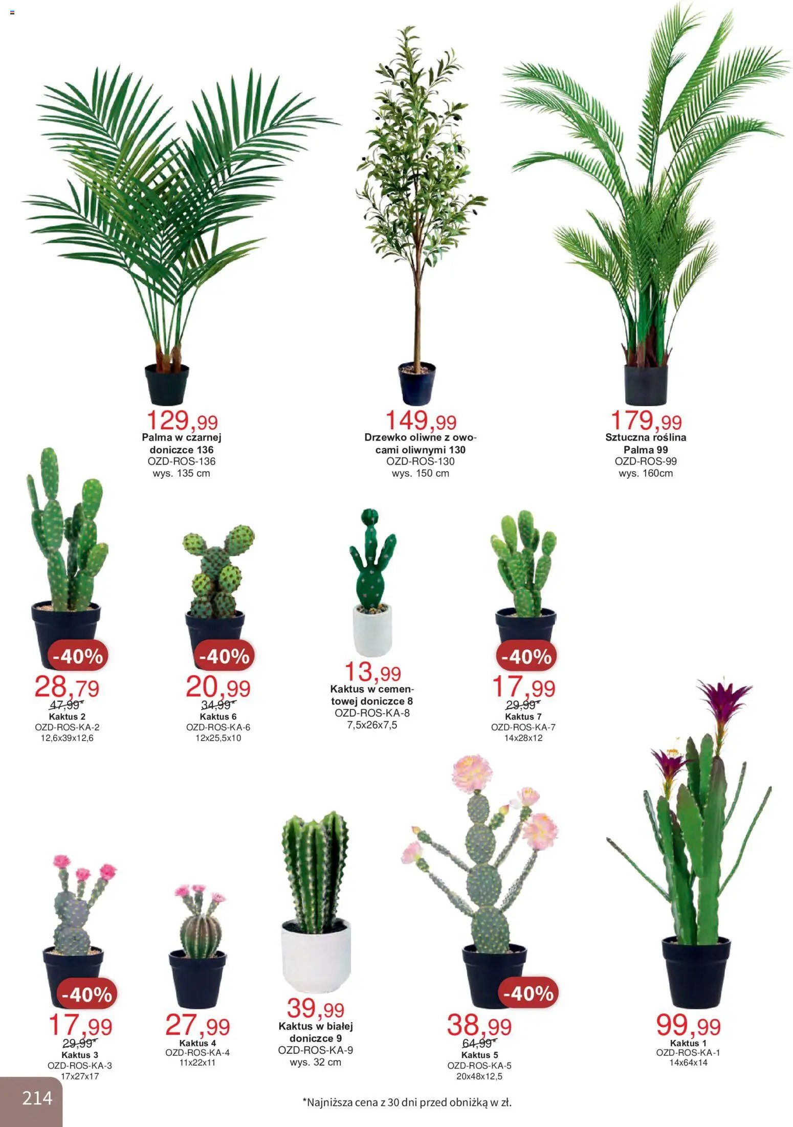 Bodzio Katalog