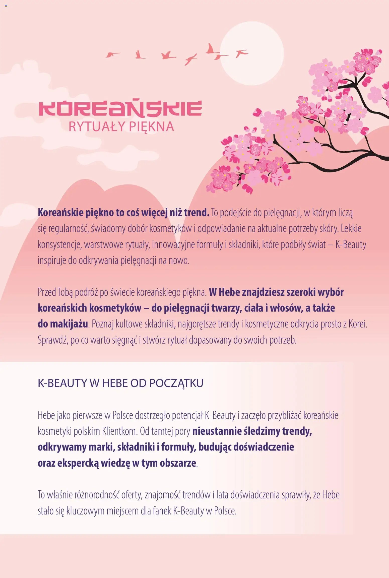 Hebe gazetka - Katalog koreanski