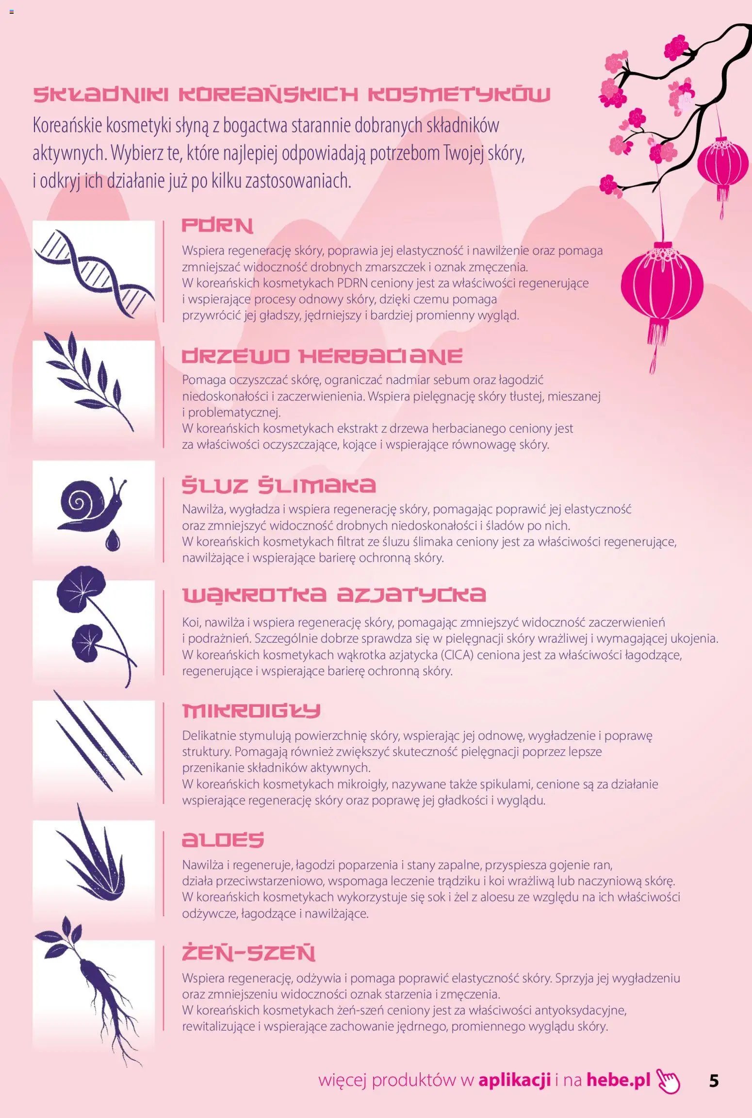Hebe gazetka - Katalog koreanski