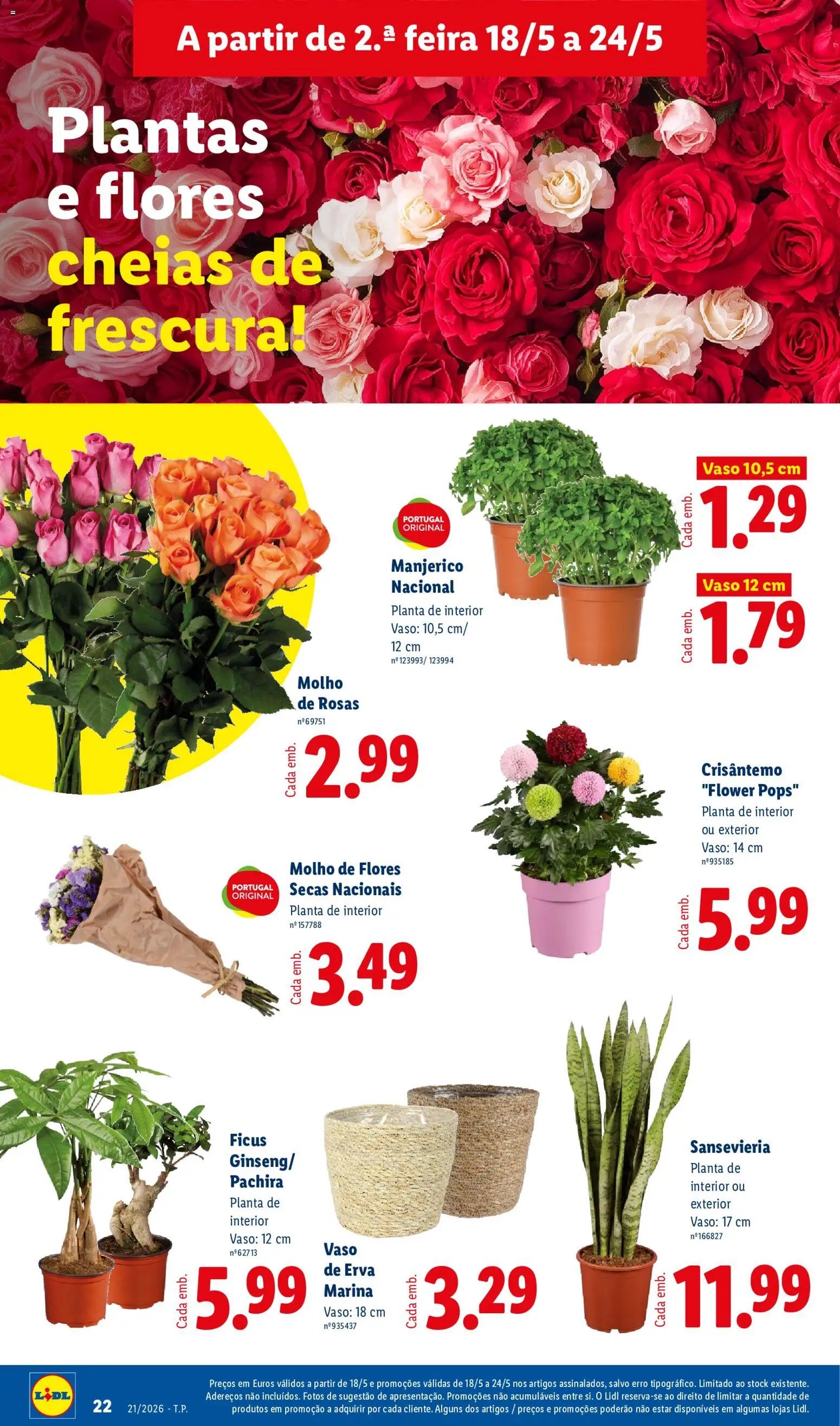 Lidl folheto (2026-05-18 - 2026-05-24) | 22
