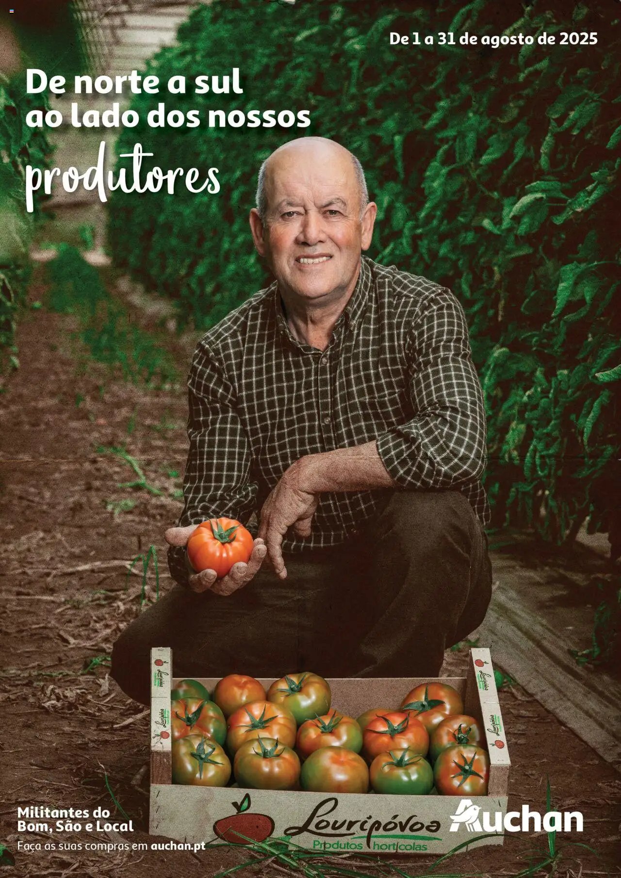 Auchan - Produtores Locais (2025-08-01 - 2025-08-31) | 1