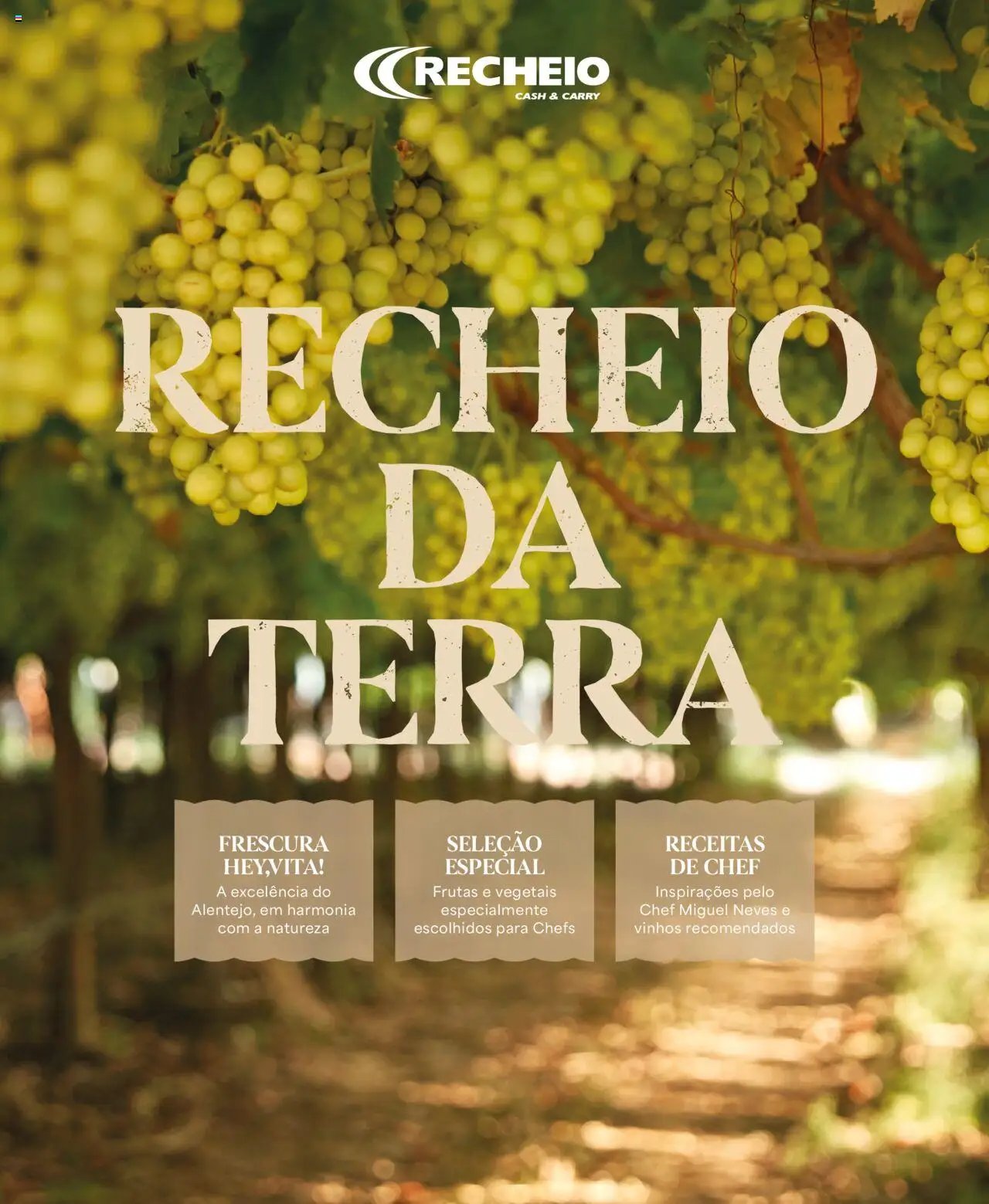 Recheio - Recheio da Terra (2025-09-25 - 2025-12-31) | 1