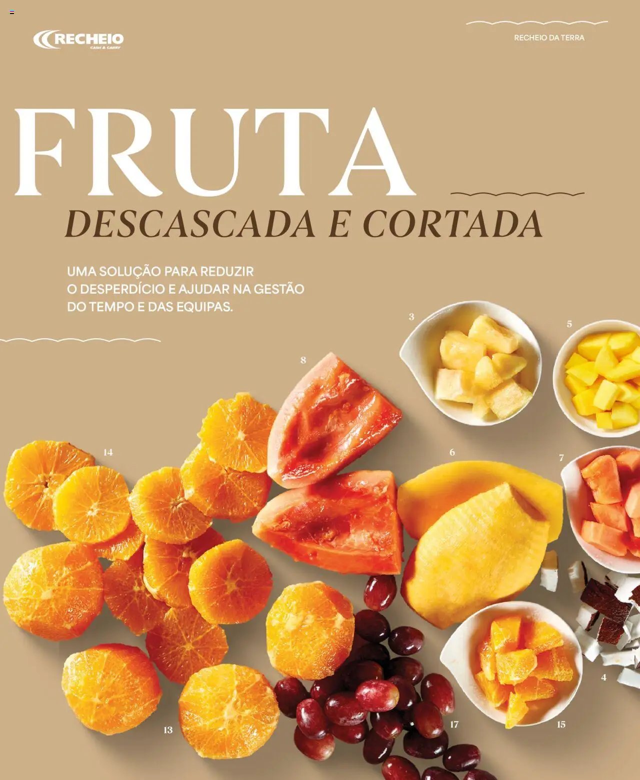 Recheio - Recheio da Terra (2025-09-25 - 2025-12-31) | 18