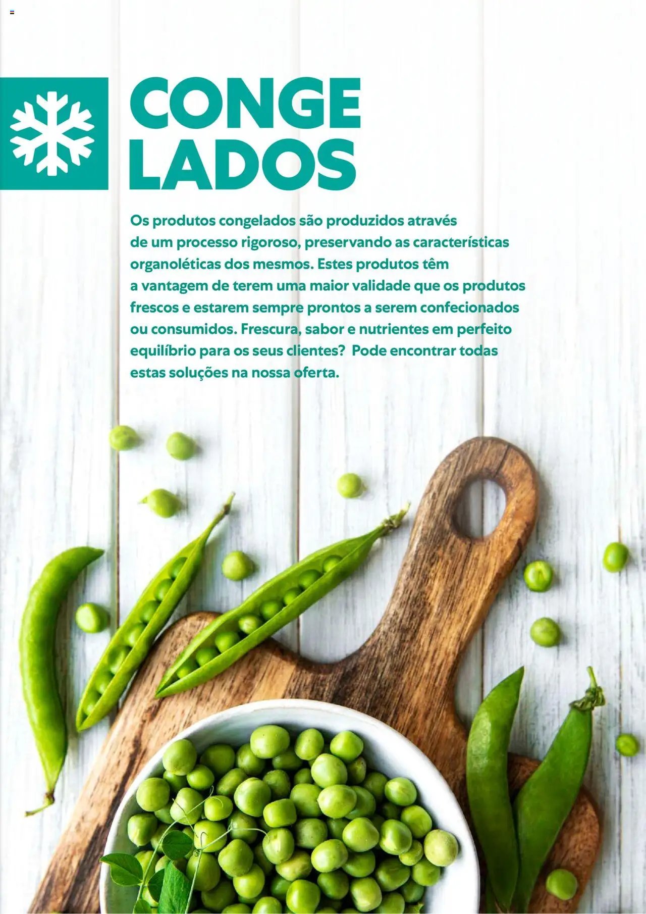 Recheio Alimentacao variada (2024-02-01 - 2025-12-31)