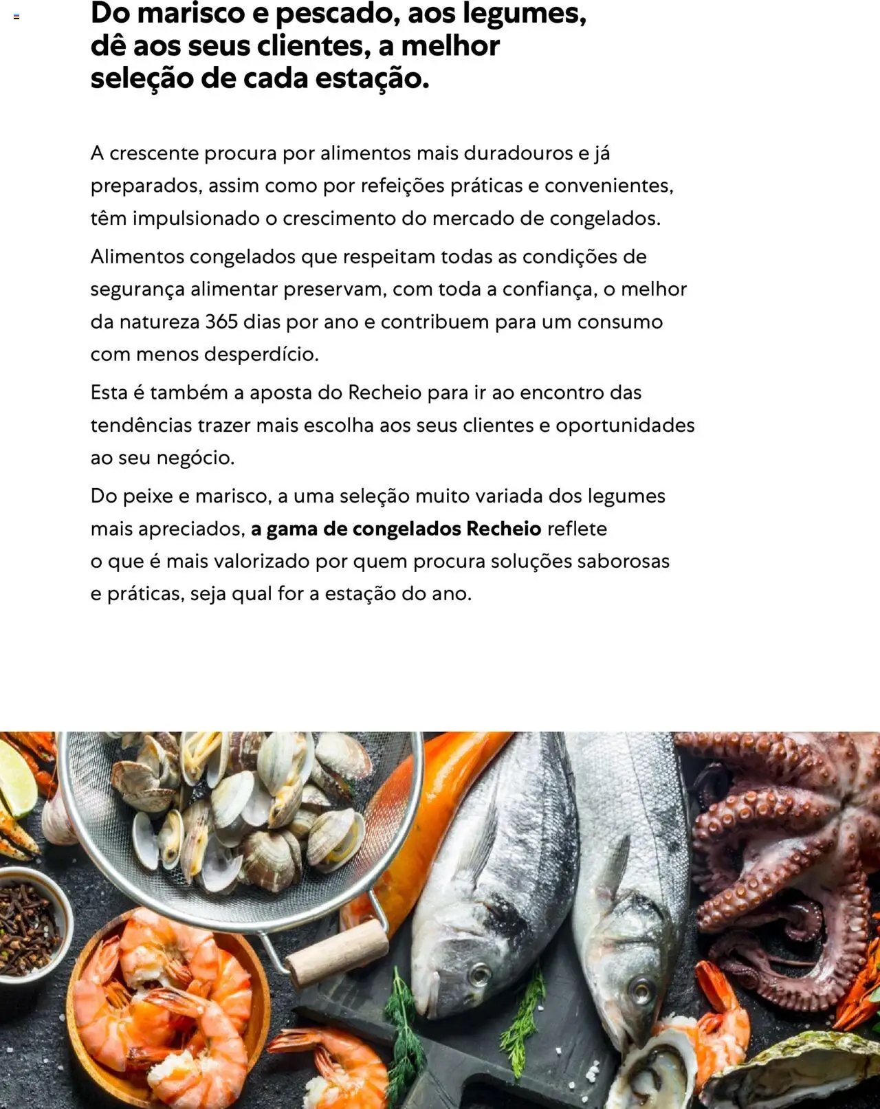 Recheio - Congelados do Mar e da Terra (2025-07-14 - 2025-12-31)