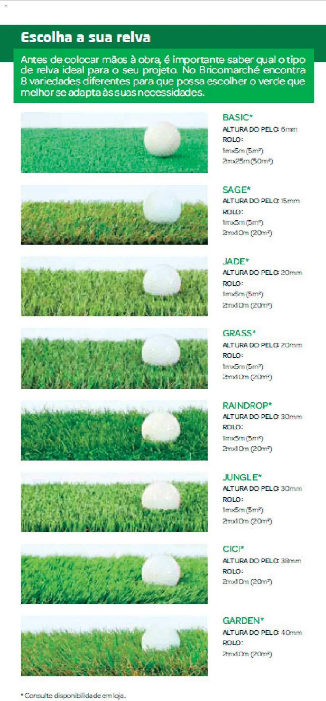 BricoMarché Relvas (2023-12-27 - 2025-12-31) | 5