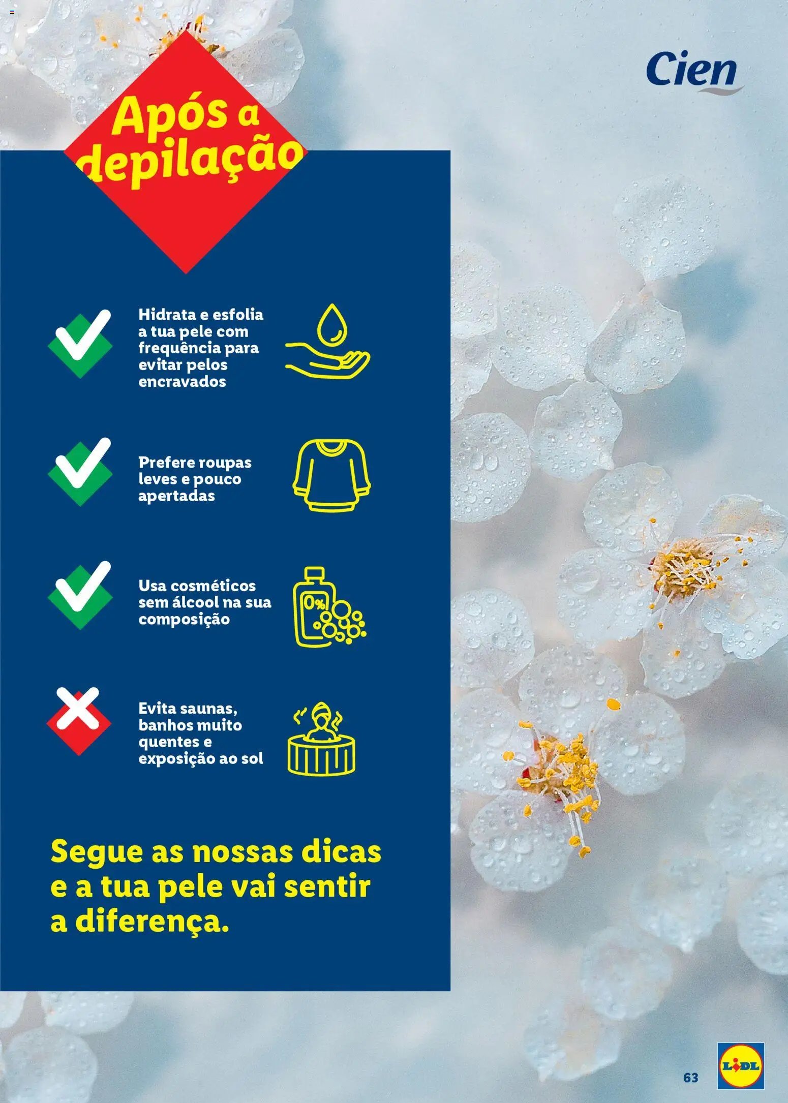 Lidl Beleza Inteligente (2026-03-16 - 2026-12-31) | 63