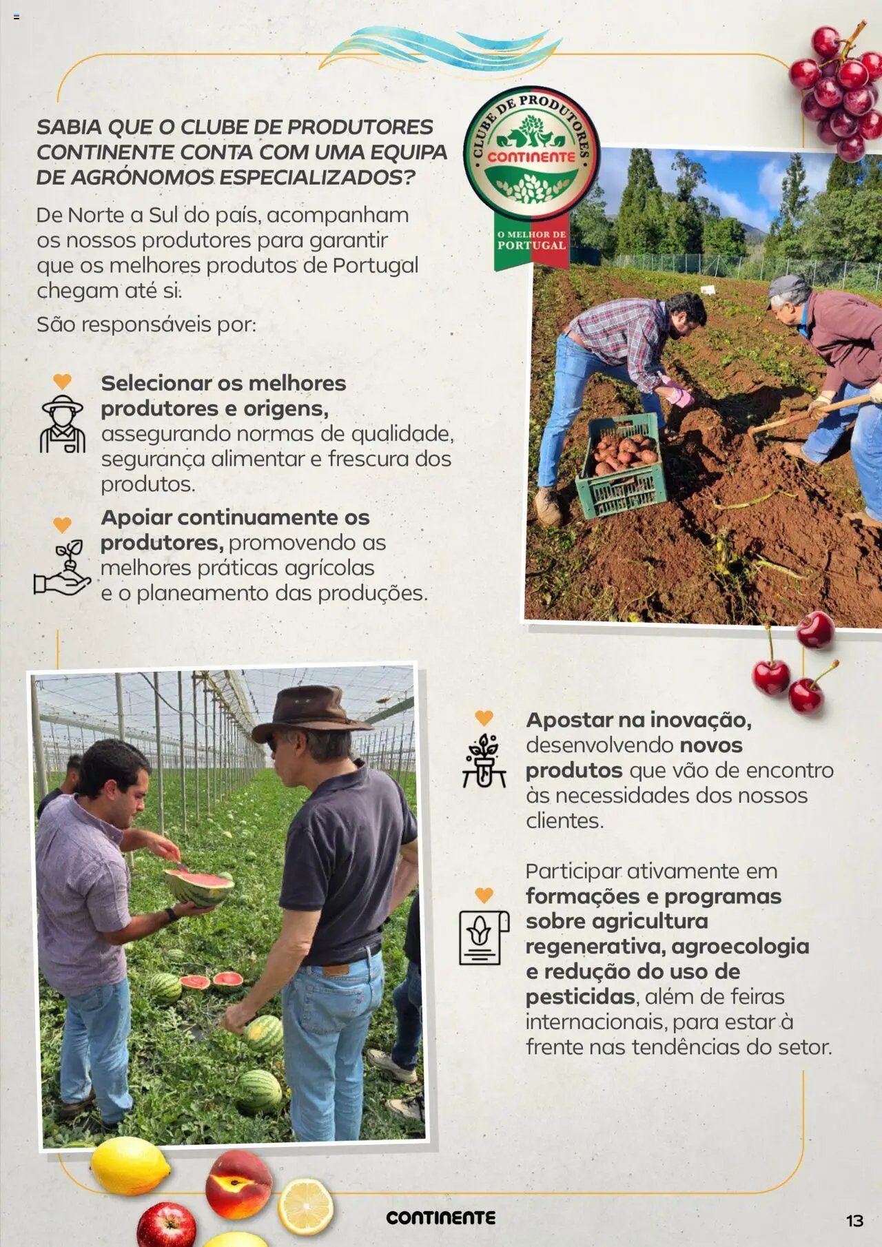 Continente - Frescos: Como é bom sentir a frescura da estação (2025-07-15 - 2025-07-27)