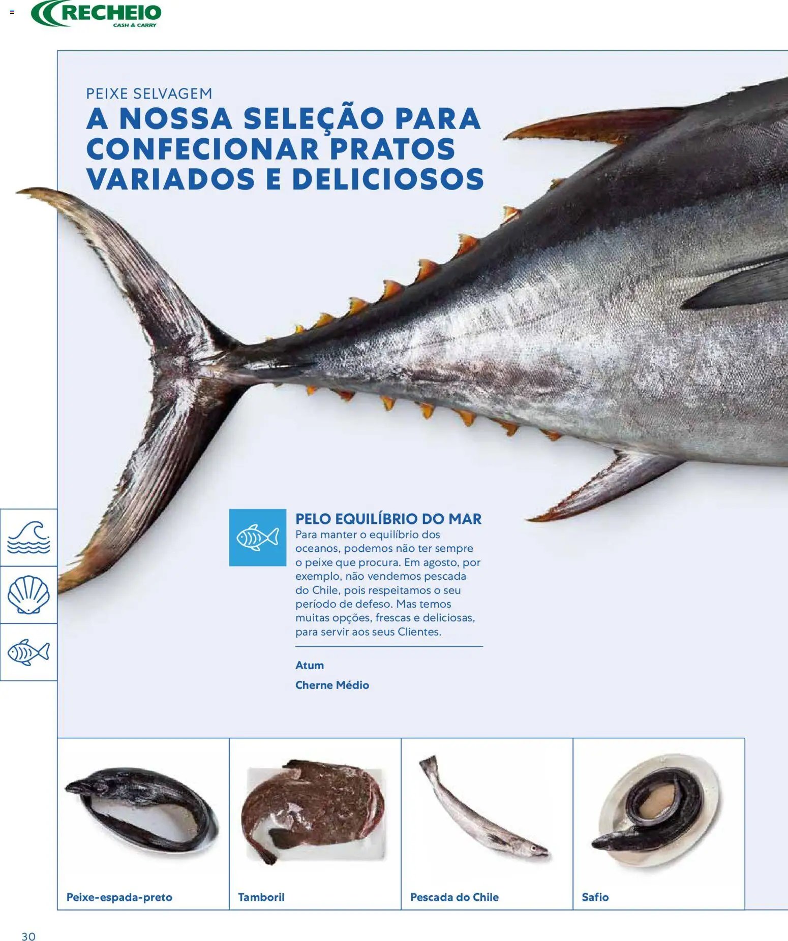 Recheio - Catálogo de Alfragide (2026-03-16 - 2026-12-31) | 30