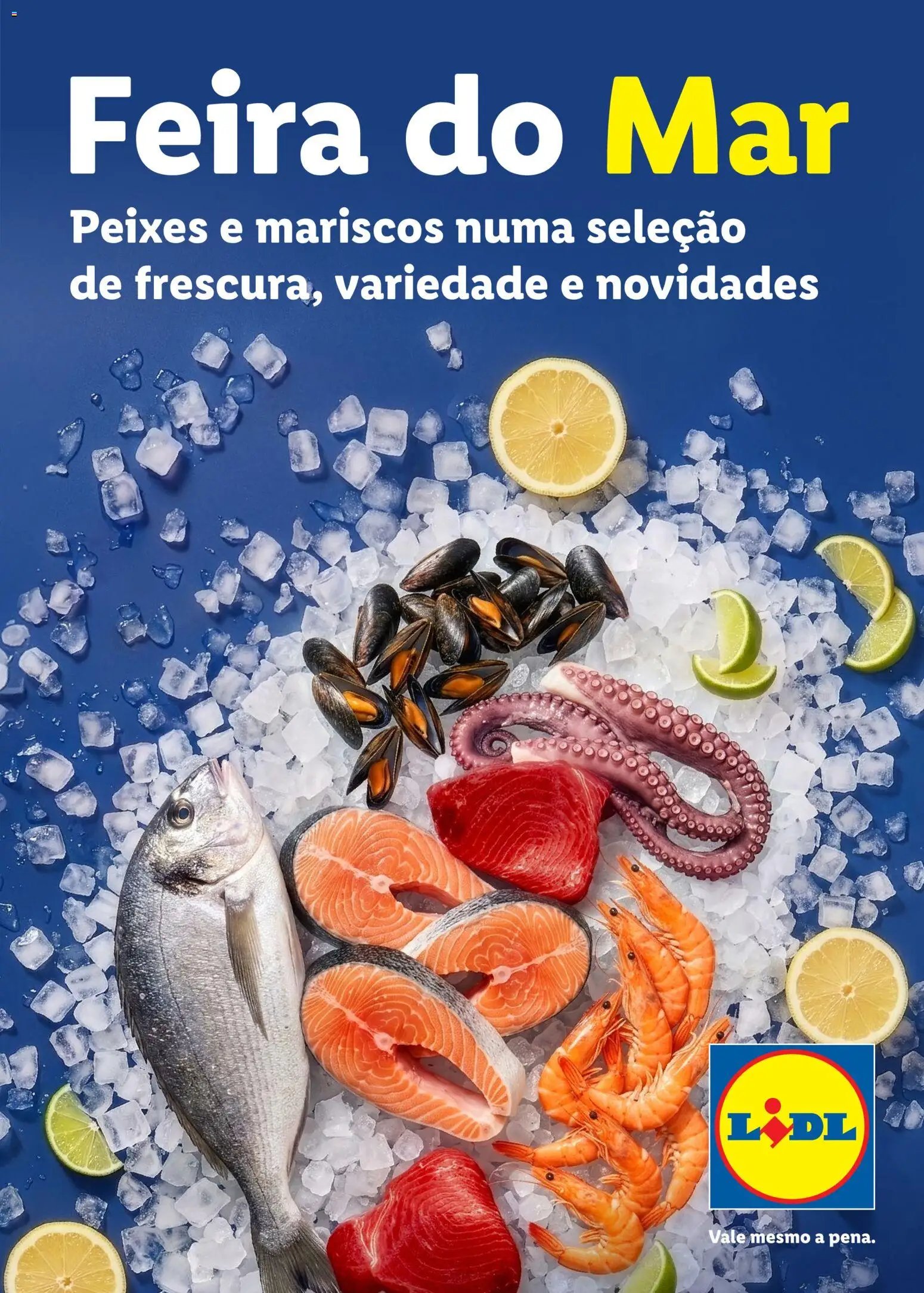 Lidl Feira do Mar (2026-05-07 - 2027-05-03) | 1