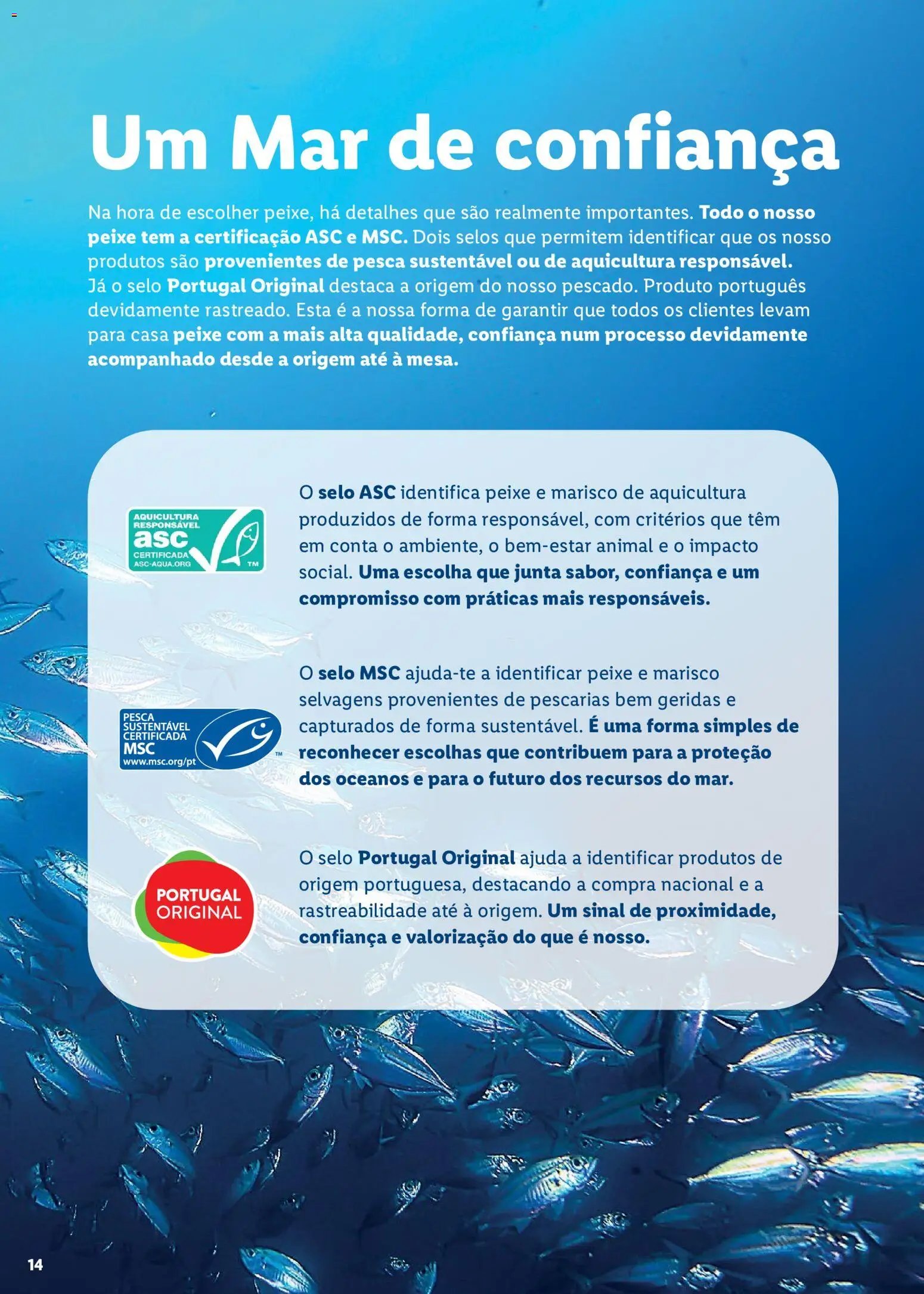 Lidl Feira do Mar (2026-05-07 - 2027-05-03) | 14