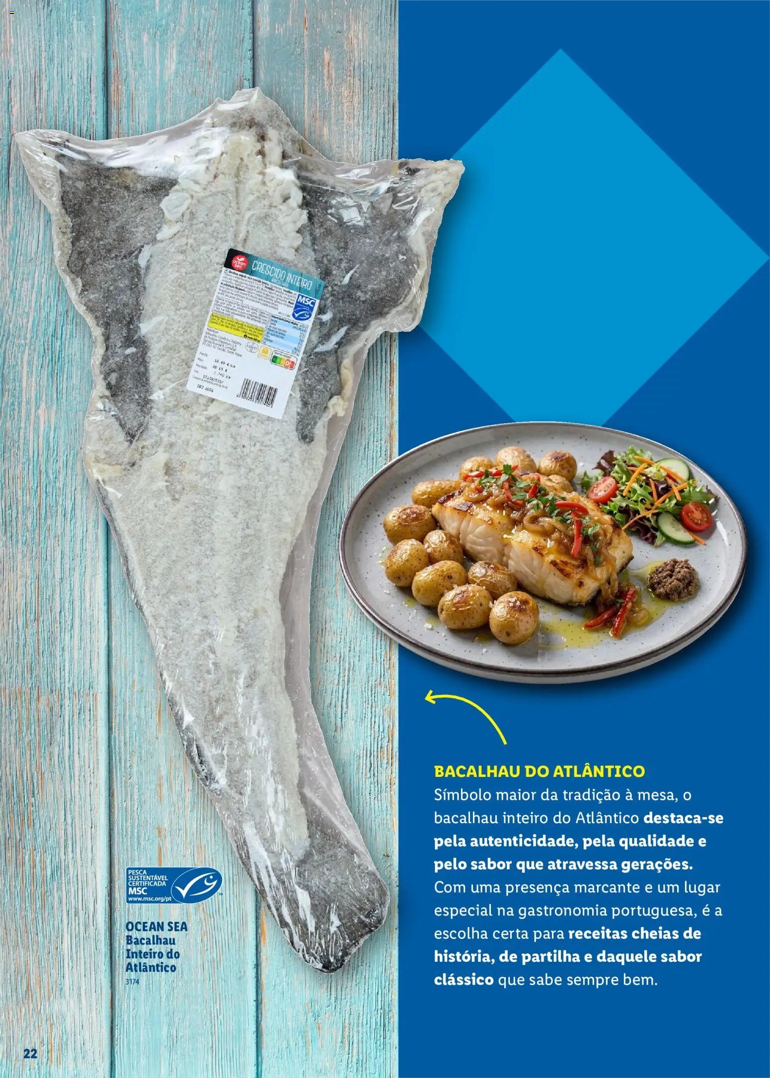 Lidl Feira do Mar (2026-05-07 - 2027-05-03) | 22
