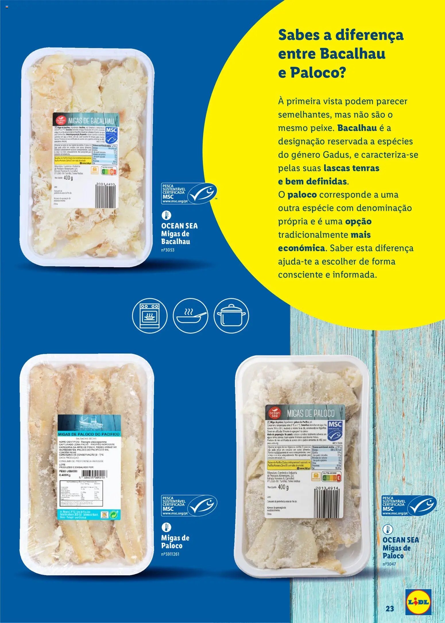 Lidl Feira do Mar (2026-05-07 - 2027-05-03) | 23