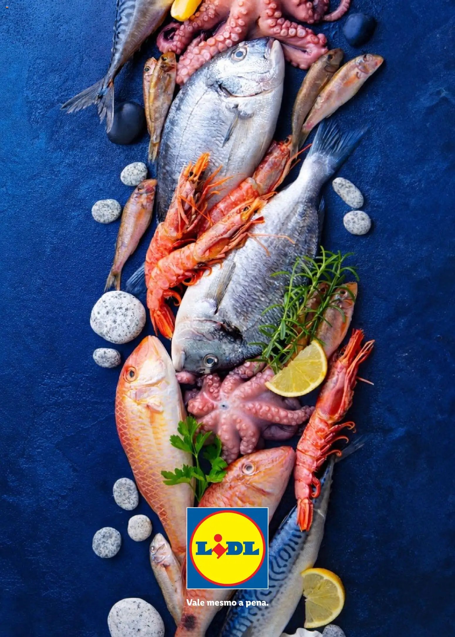 Lidl Feira do Mar (2026-05-07 - 2027-05-03) | 24