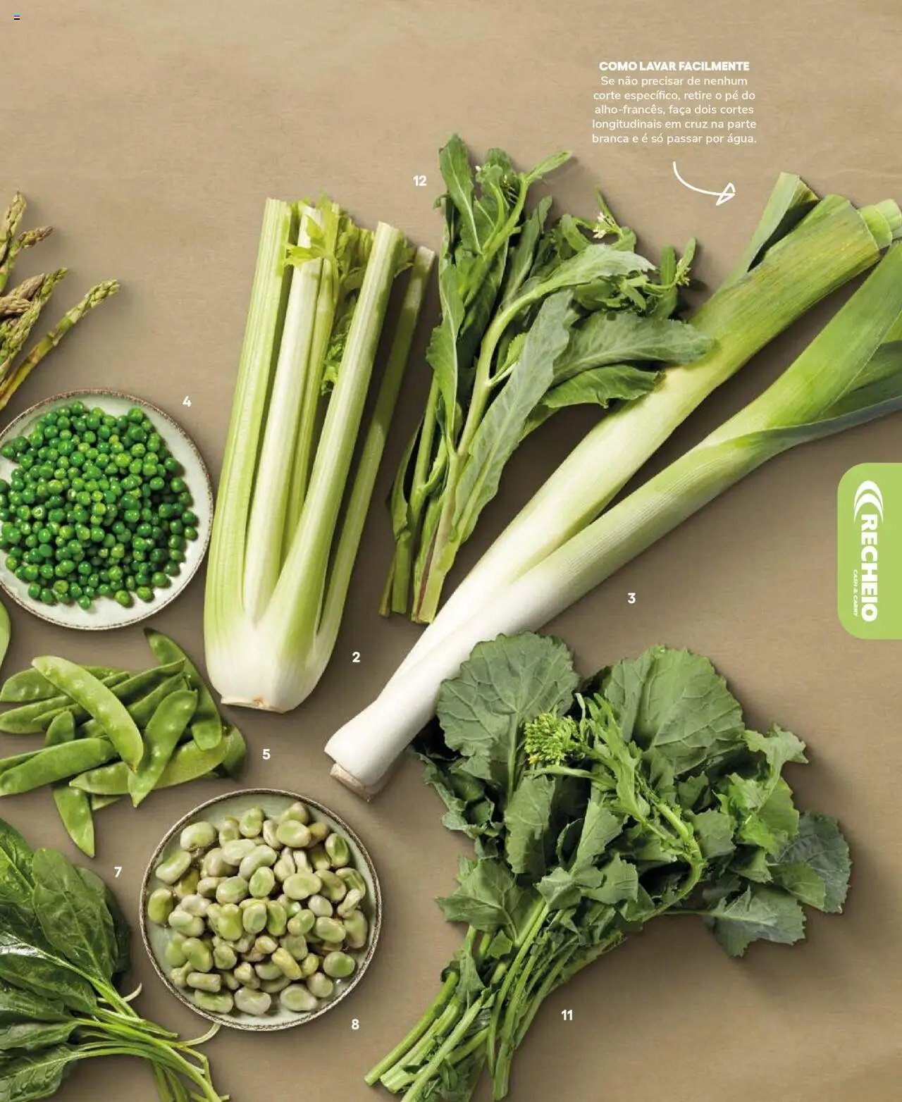 Recheio Frutas e Legumes (2024-09-19 - 2025-12-31)