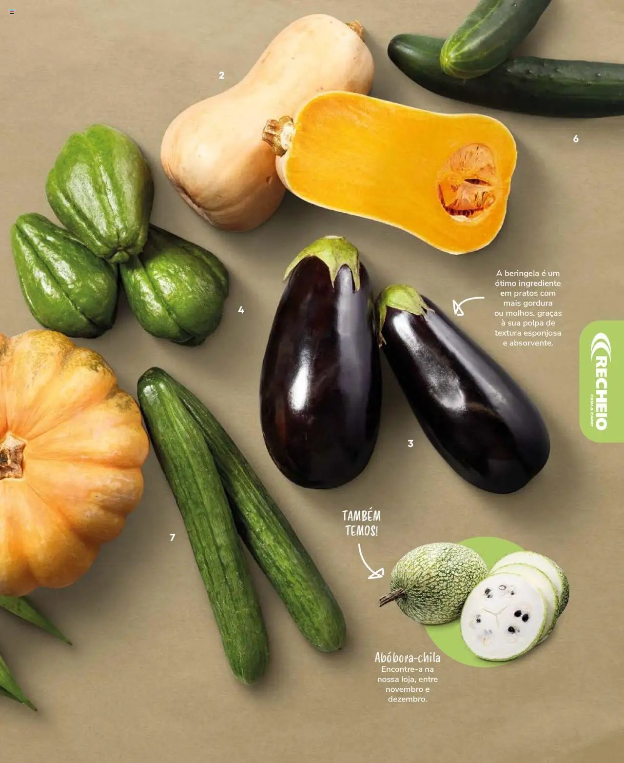 Recheio Frutas e Legumes (2024-09-19 - 2025-12-31)