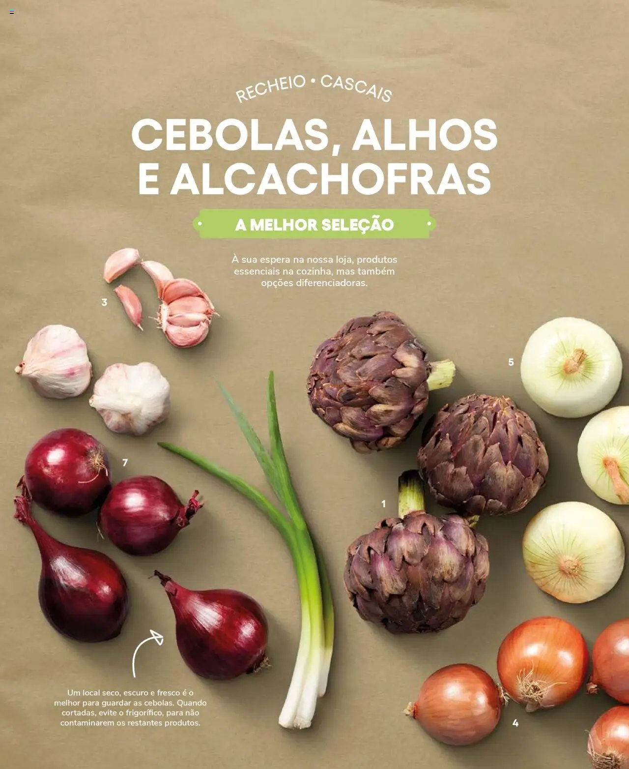 Recheio Frutas e Legumes (2024-09-19 - 2025-12-31)
