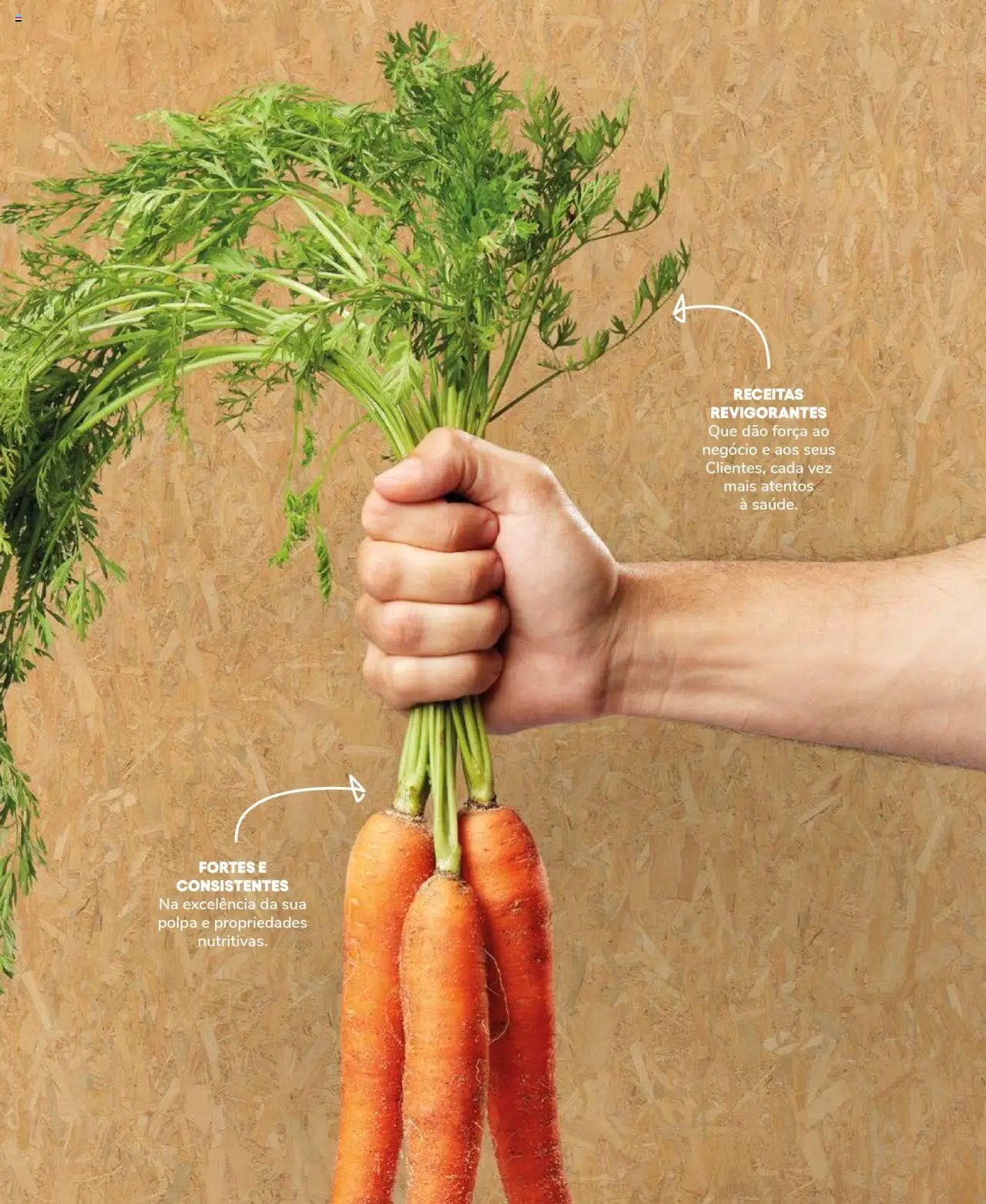 Recheio Frutas e Legumes (2024-09-19 - 2025-12-31)
