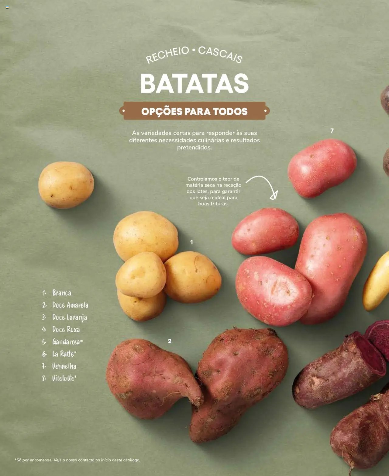 Recheio Frutas e Legumes (2024-09-19 - 2025-12-31)