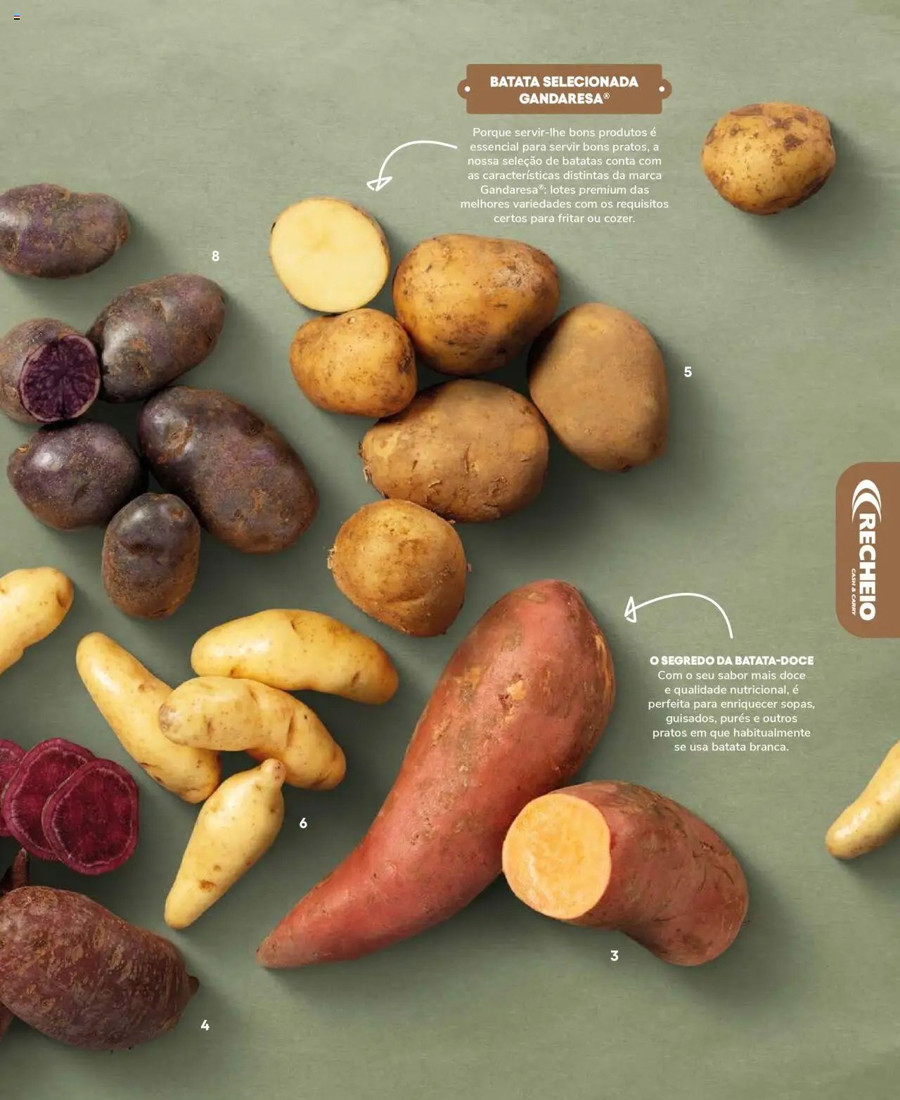 Recheio Frutas e Legumes (2024-09-19 - 2025-12-31)