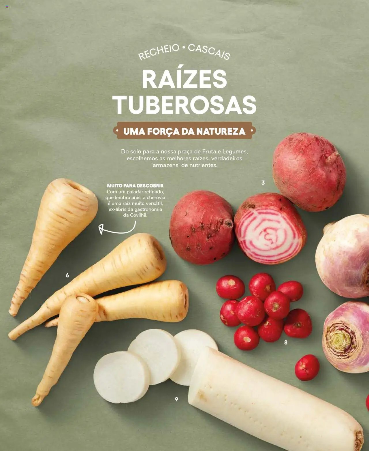 Recheio Frutas e Legumes (2024-09-19 - 2025-12-31)