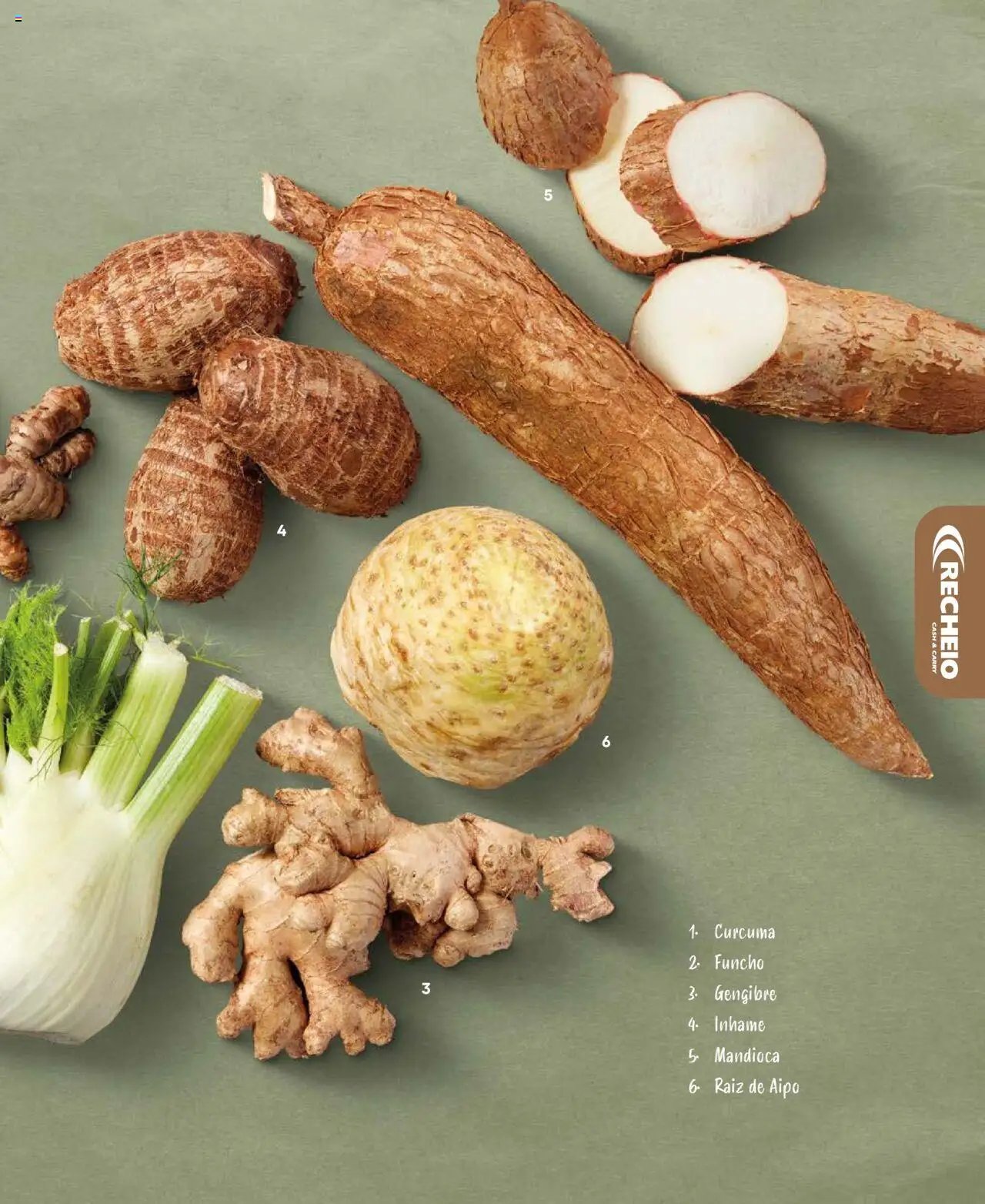 Recheio Frutas e Legumes (2024-09-19 - 2025-12-31)