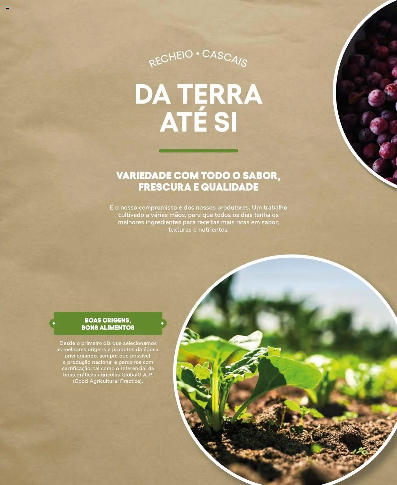 Recheio Frutas e Legumes (2024-09-19 - 2025-12-31)