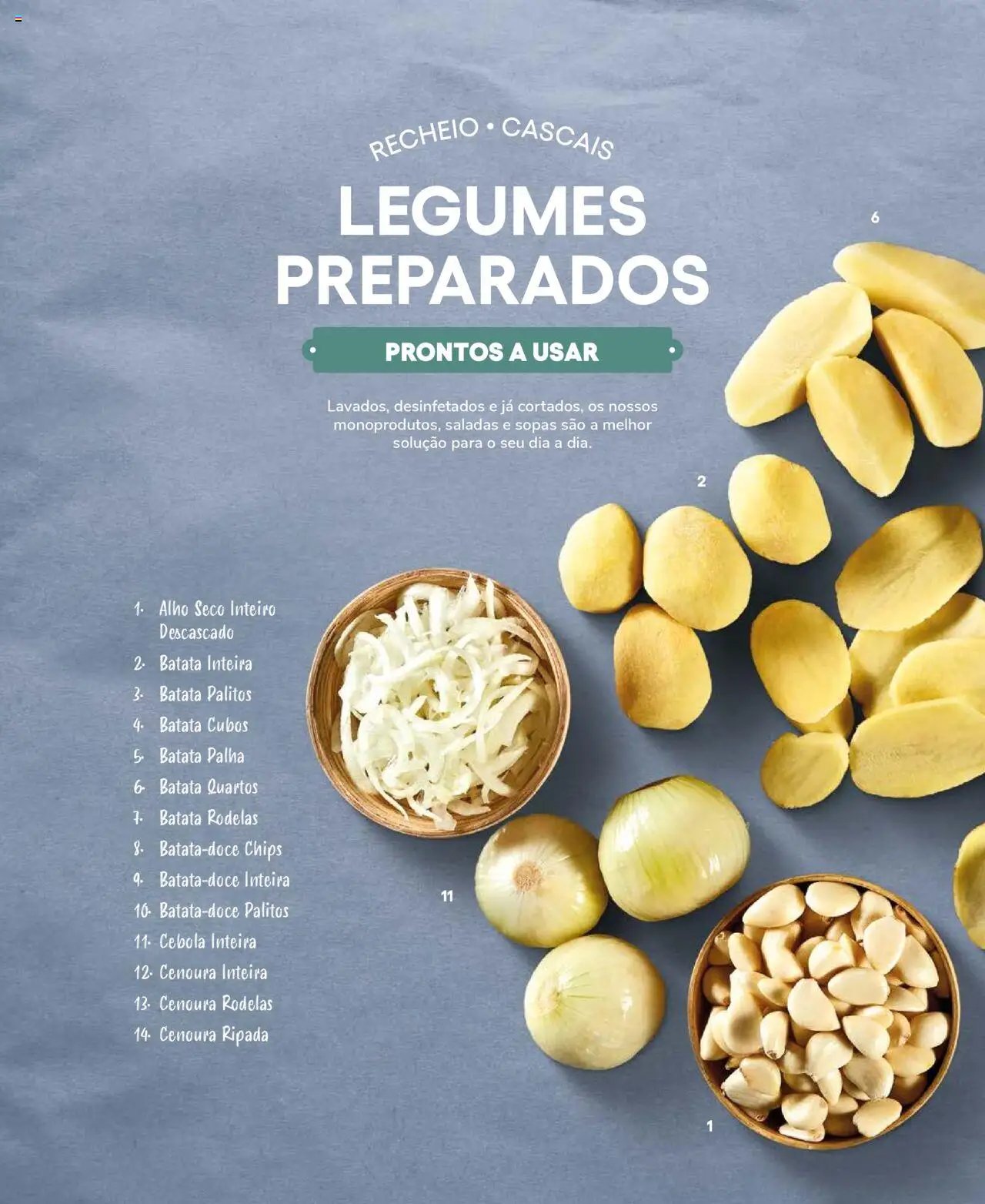 Recheio Frutas e Legumes (2024-09-19 - 2025-12-31)