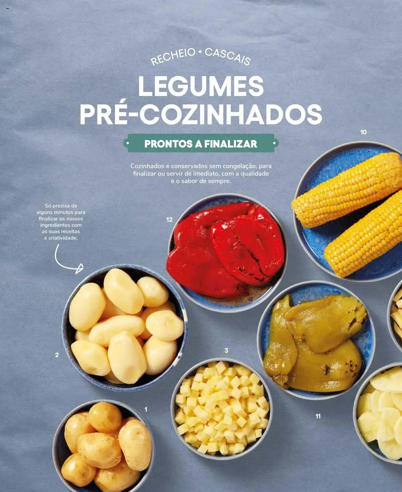 Recheio Frutas e Legumes (2024-09-19 - 2025-12-31)
