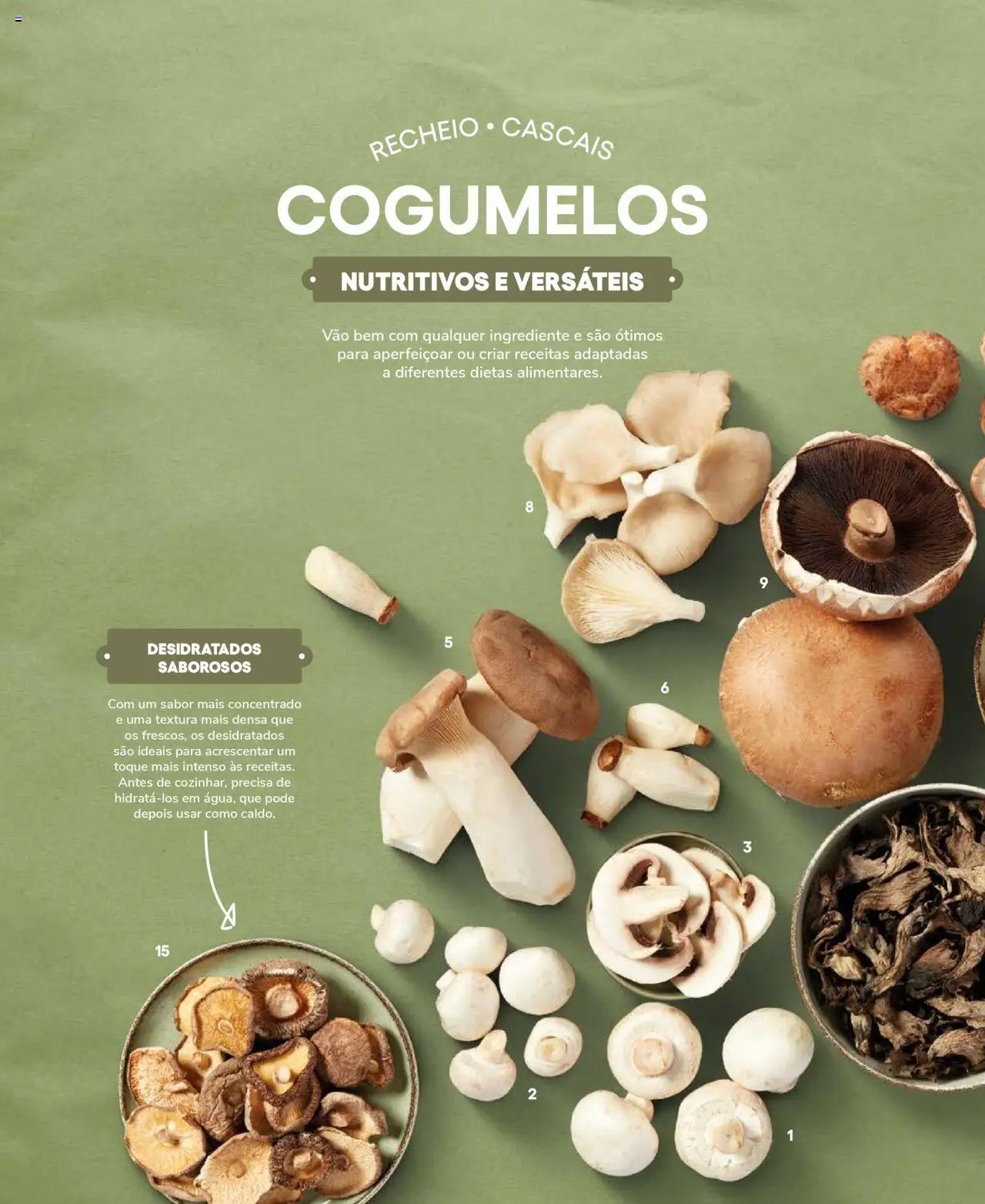 Recheio Frutas e Legumes (2024-09-19 - 2025-12-31)