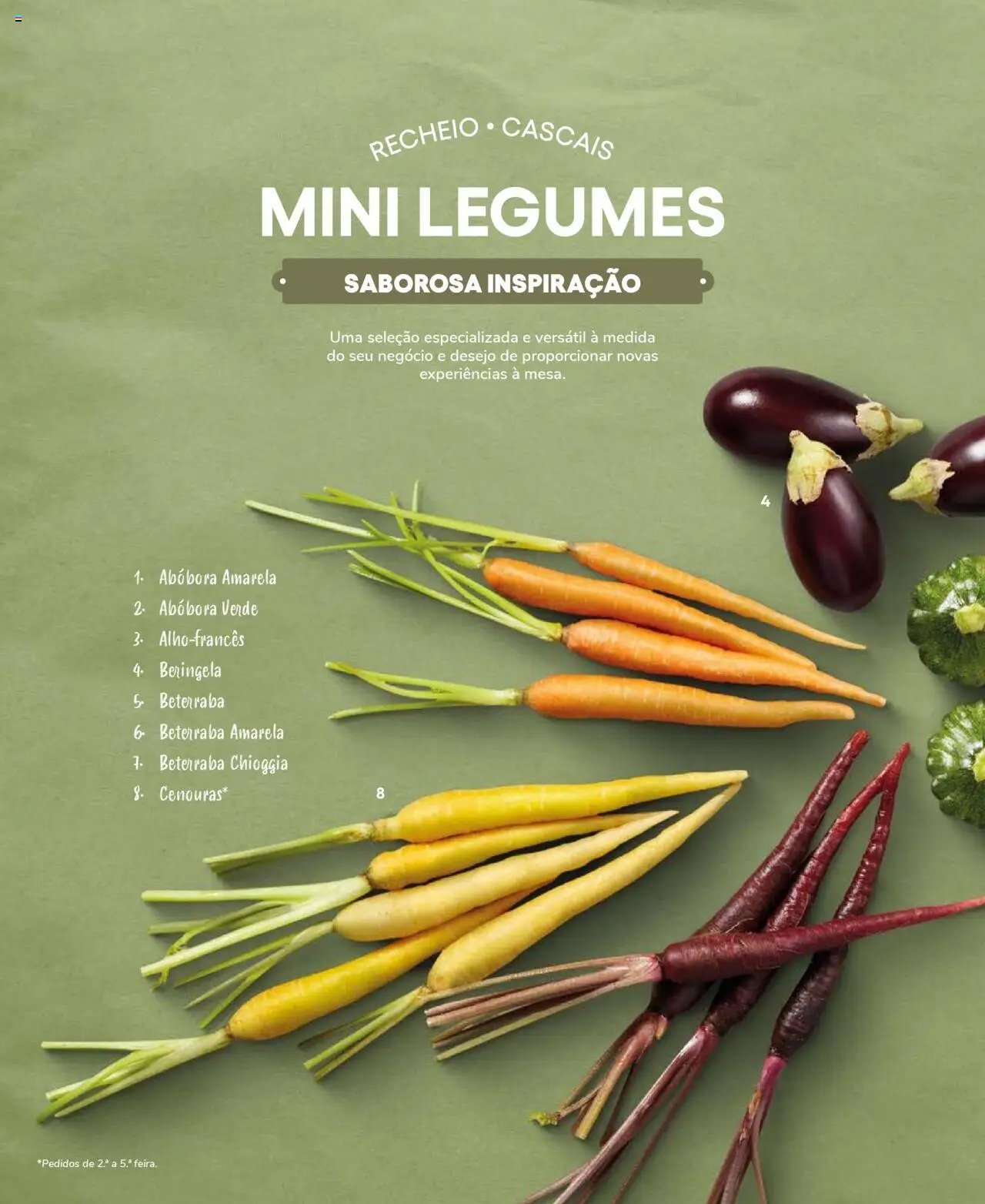 Recheio Frutas e Legumes (2024-09-19 - 2025-12-31)