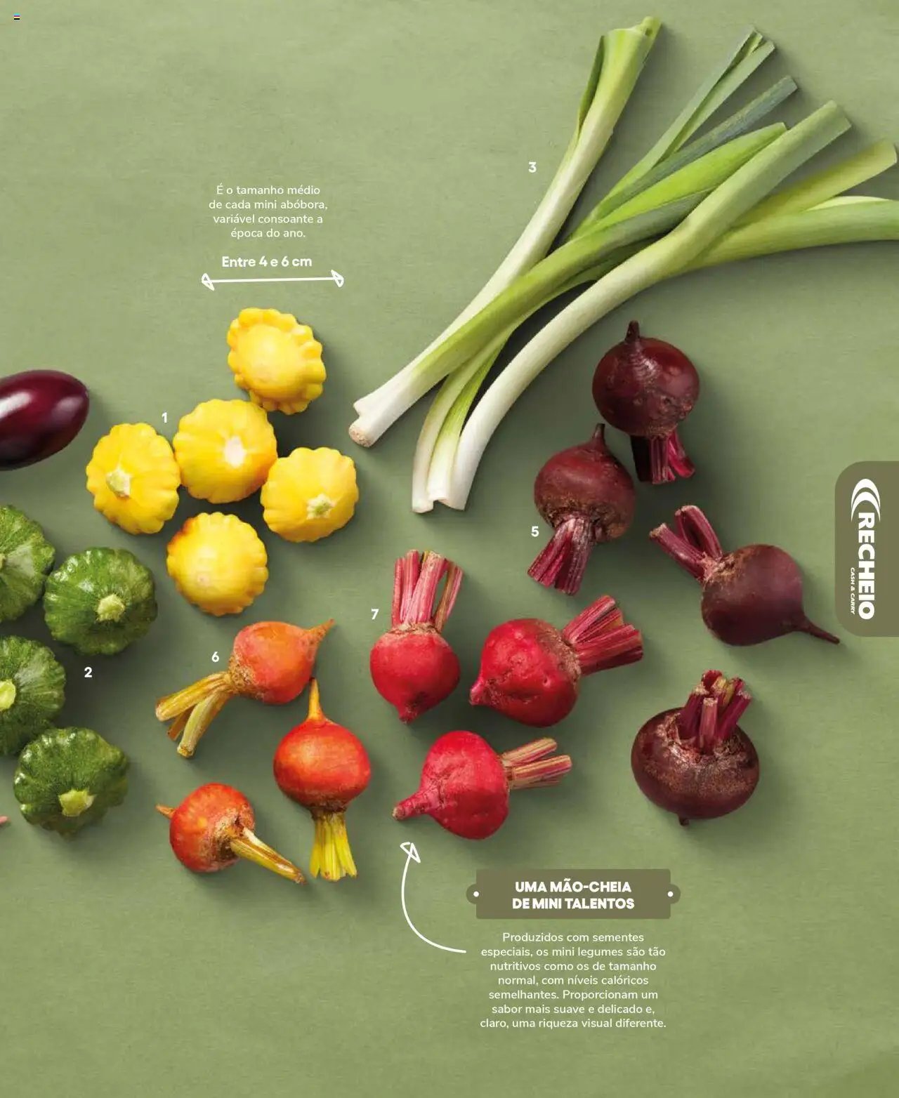 Recheio Frutas e Legumes (2024-09-19 - 2025-12-31)